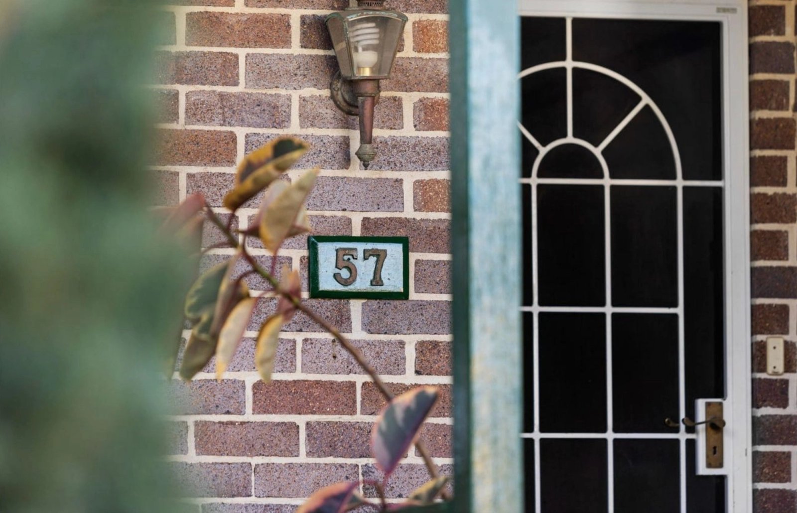 57 Wilga Street, Concord West — 3