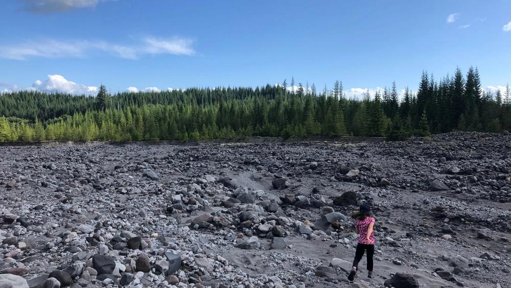 A young girl walks through a rock field with trees in the distance