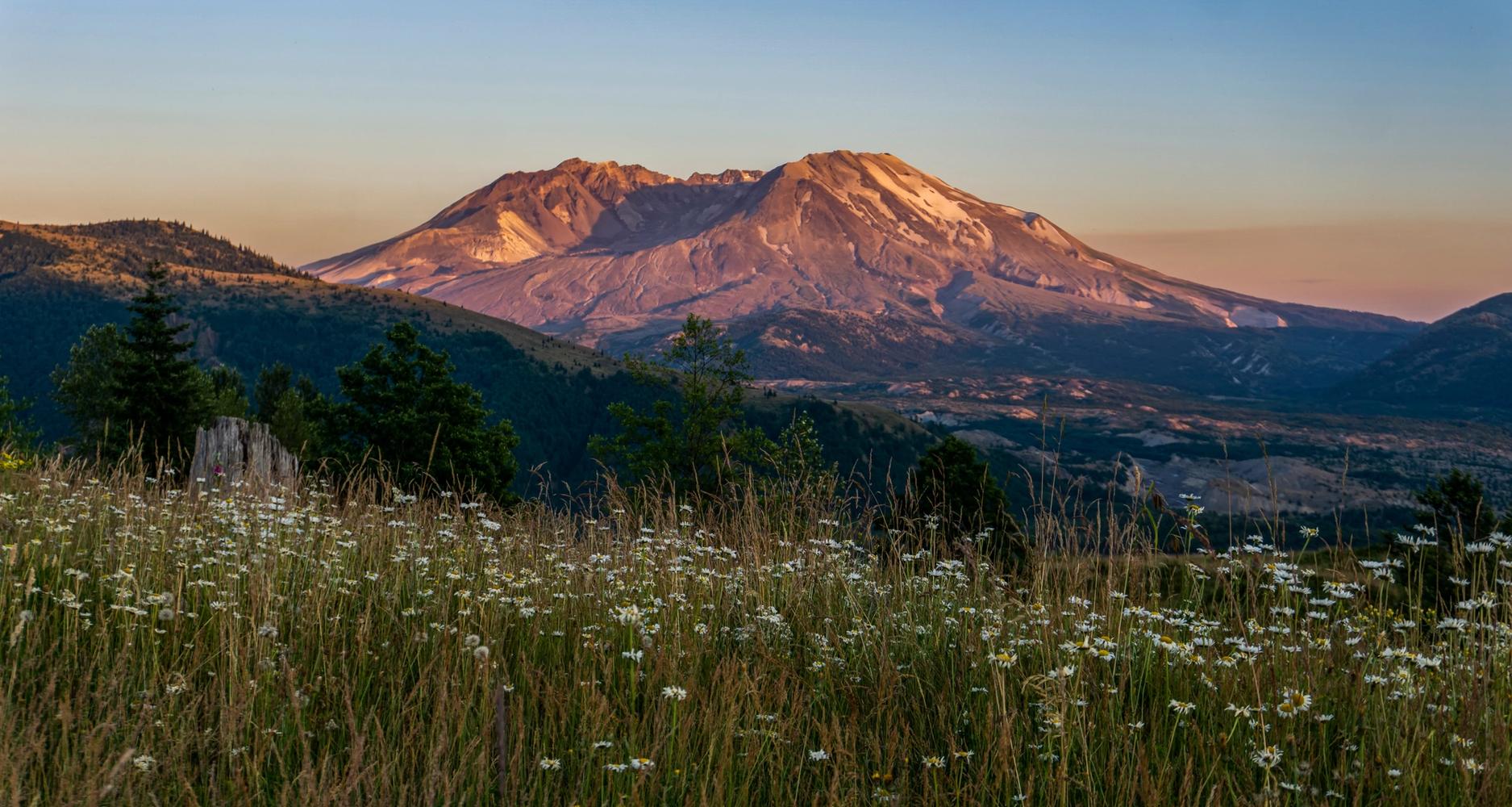Hiking the Family-Friendly Ape Cave Surface Trail | Mount St. Helens ...