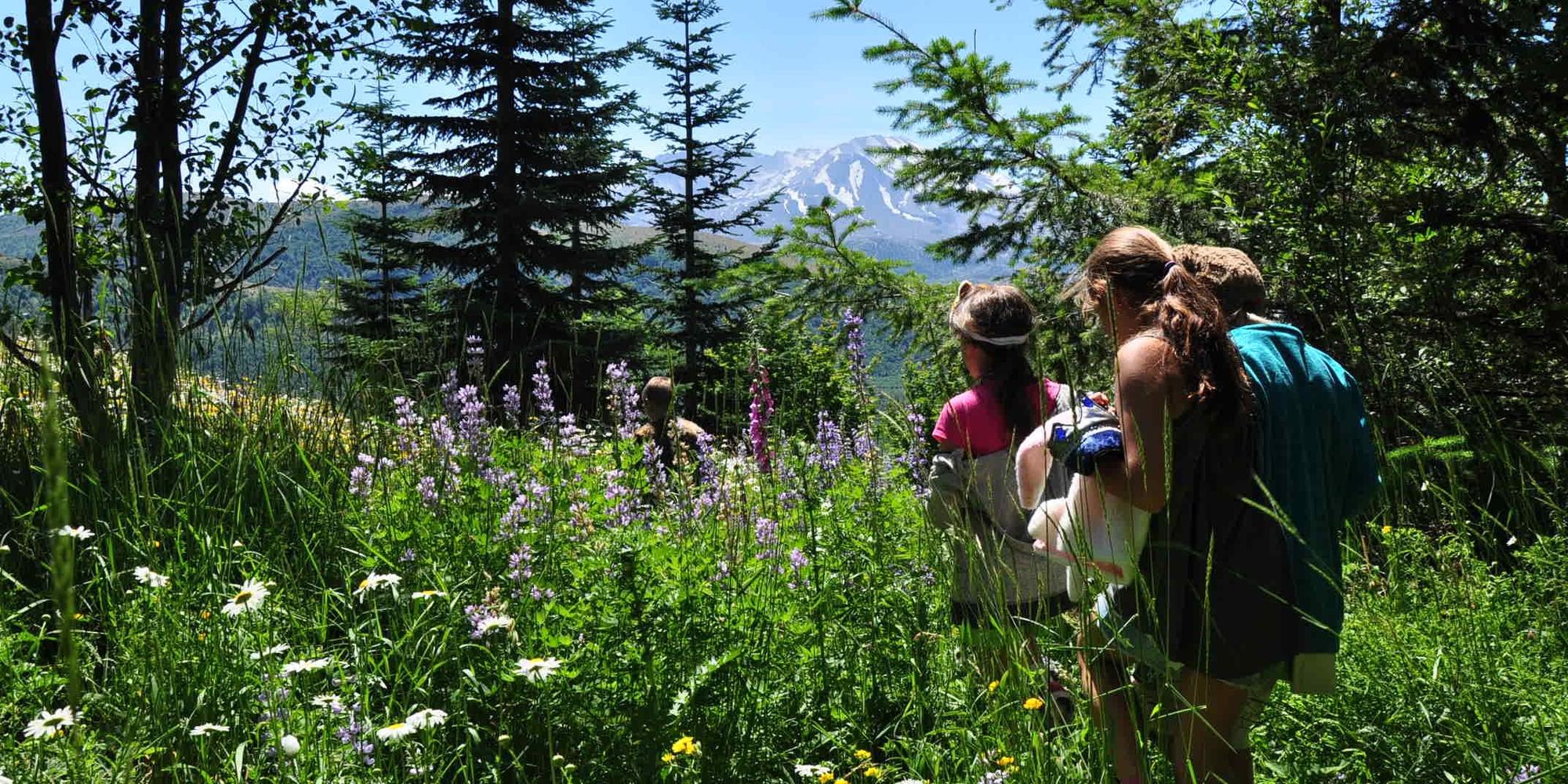 Family members on a hike at Mount St. Helens