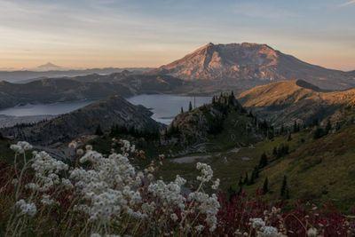 Photo by Terr Smith