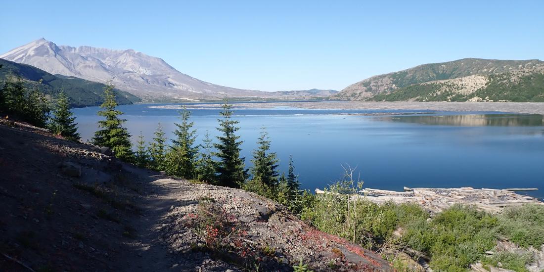 View of Mount St. Helens and Spirit Lake from the east side