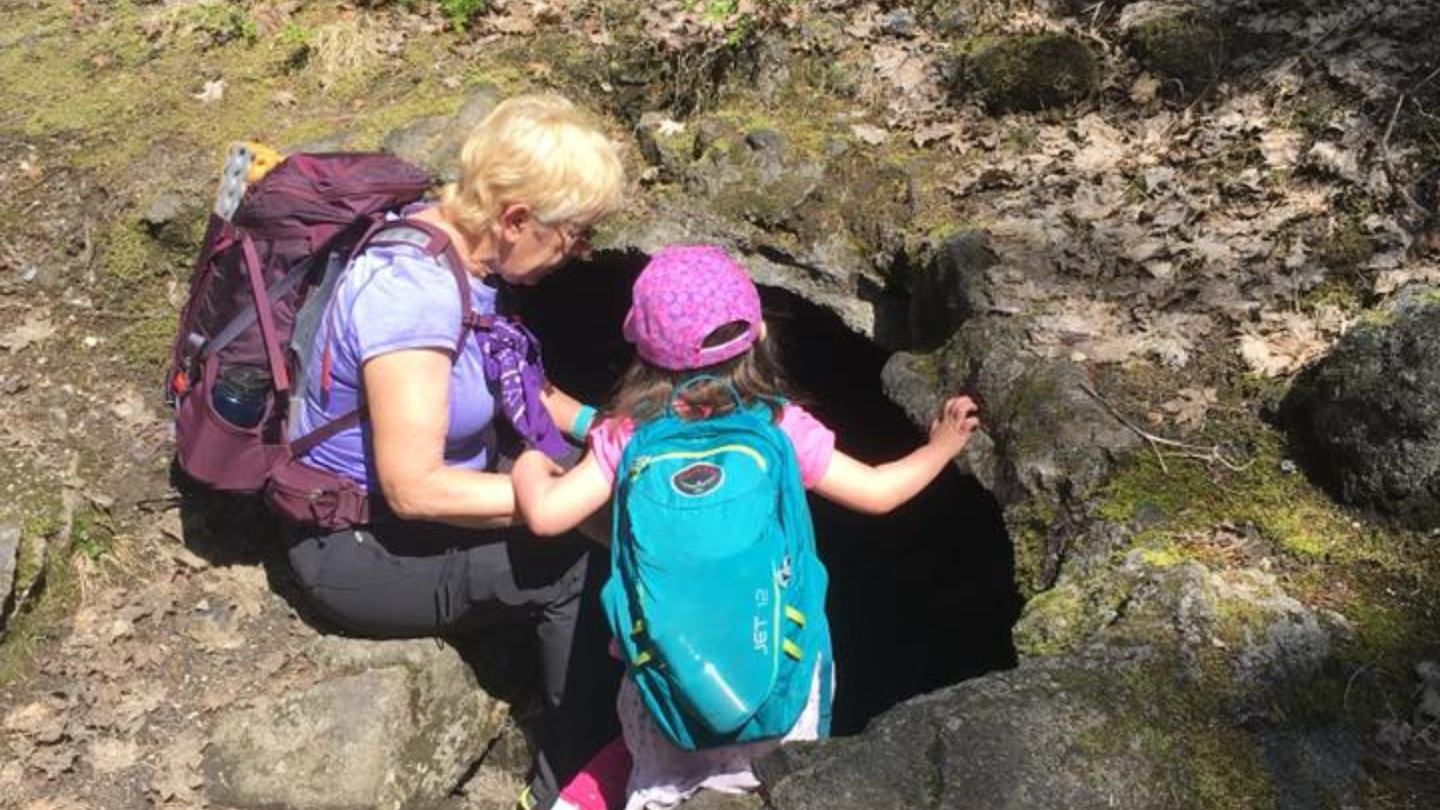 Ape Cave Surface Trail
