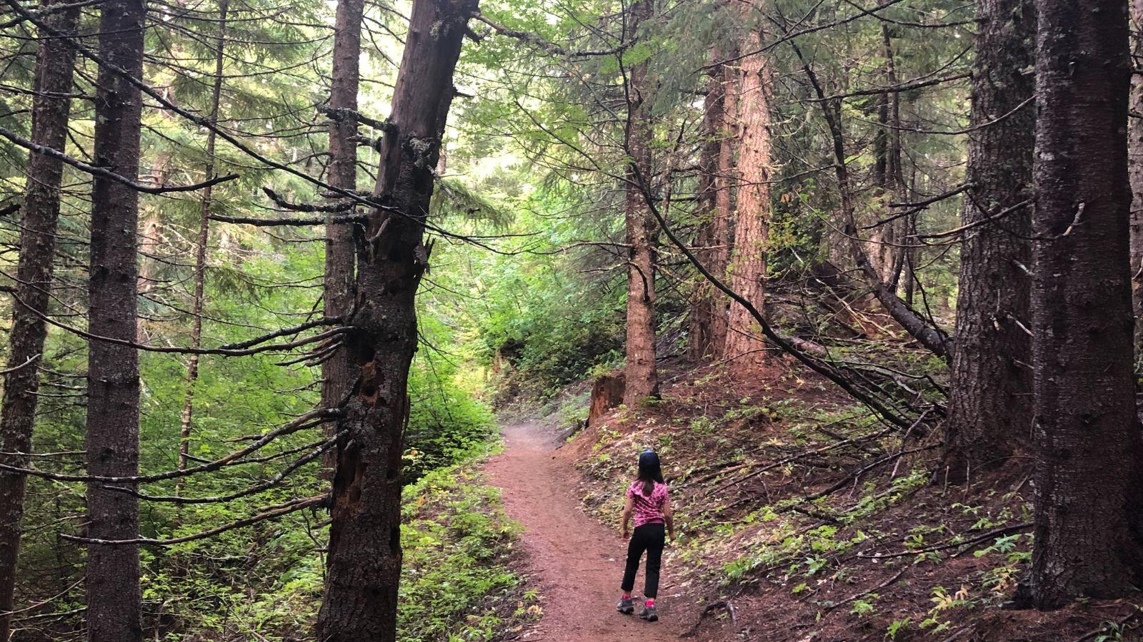 A young child hikes on a trail through a lush Pacific Northwest forest