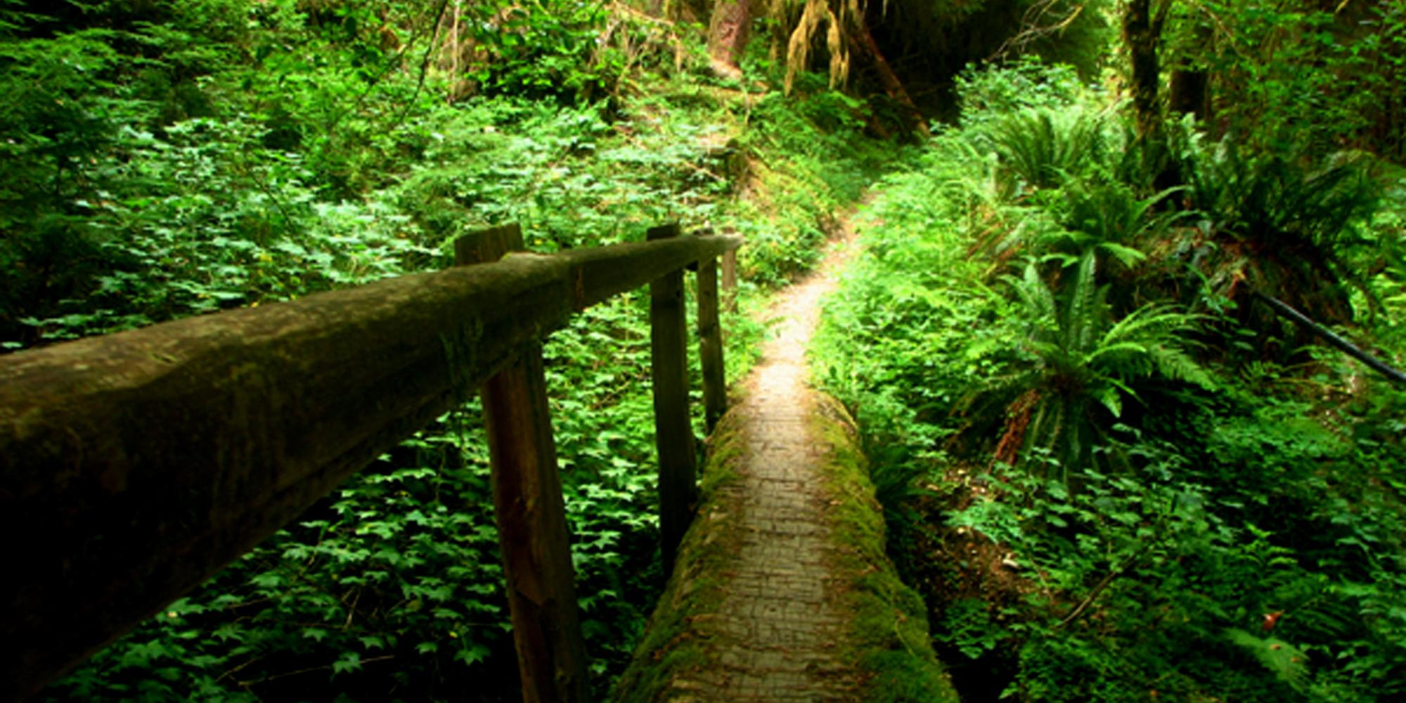 NPS Photo by Jon Preston