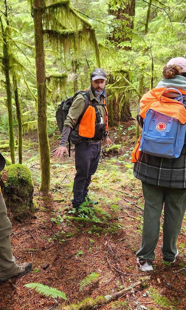 Old-growth forest as a living laboratory.
