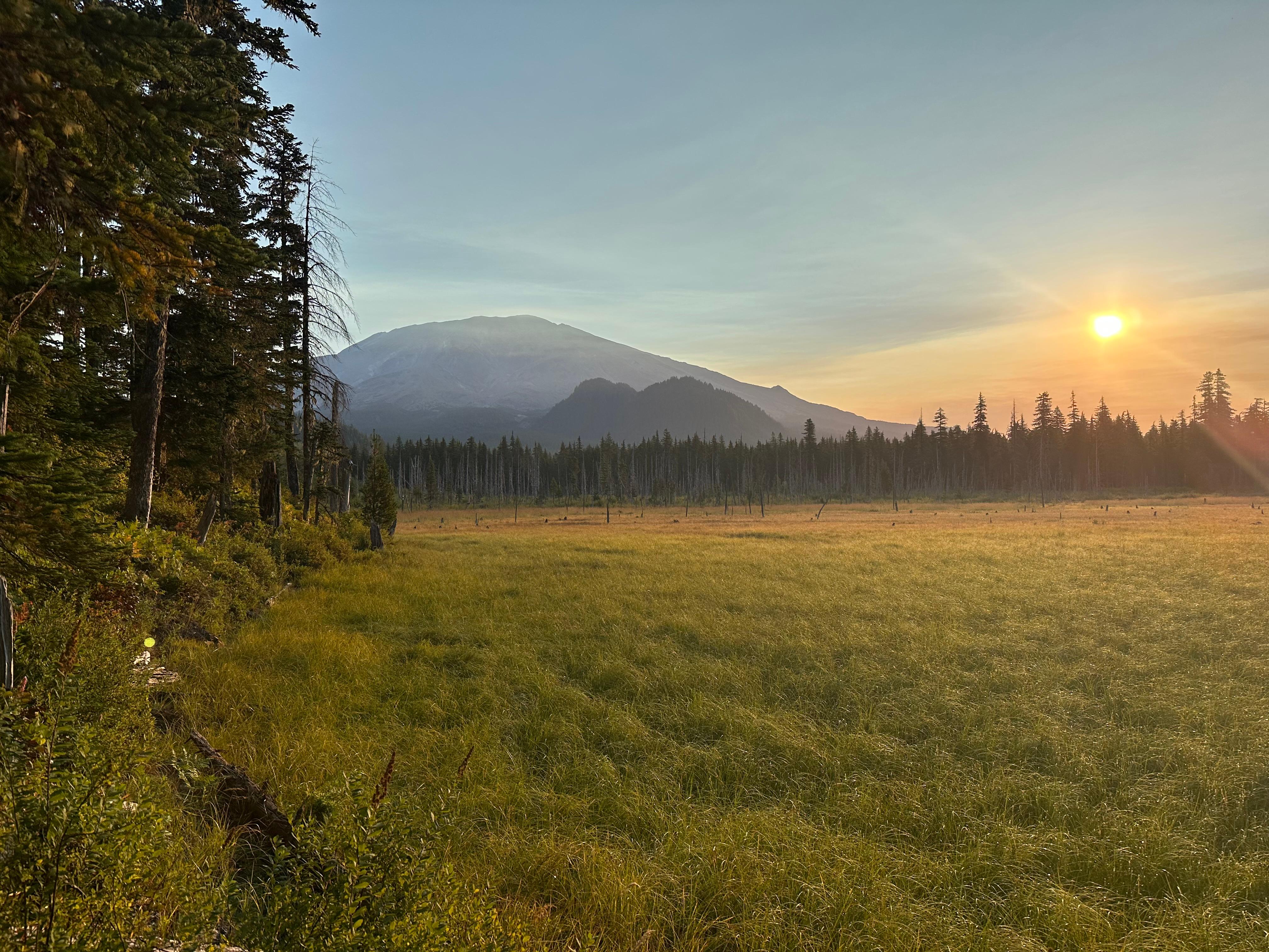View of Mount St. Helens from Goat Marsh