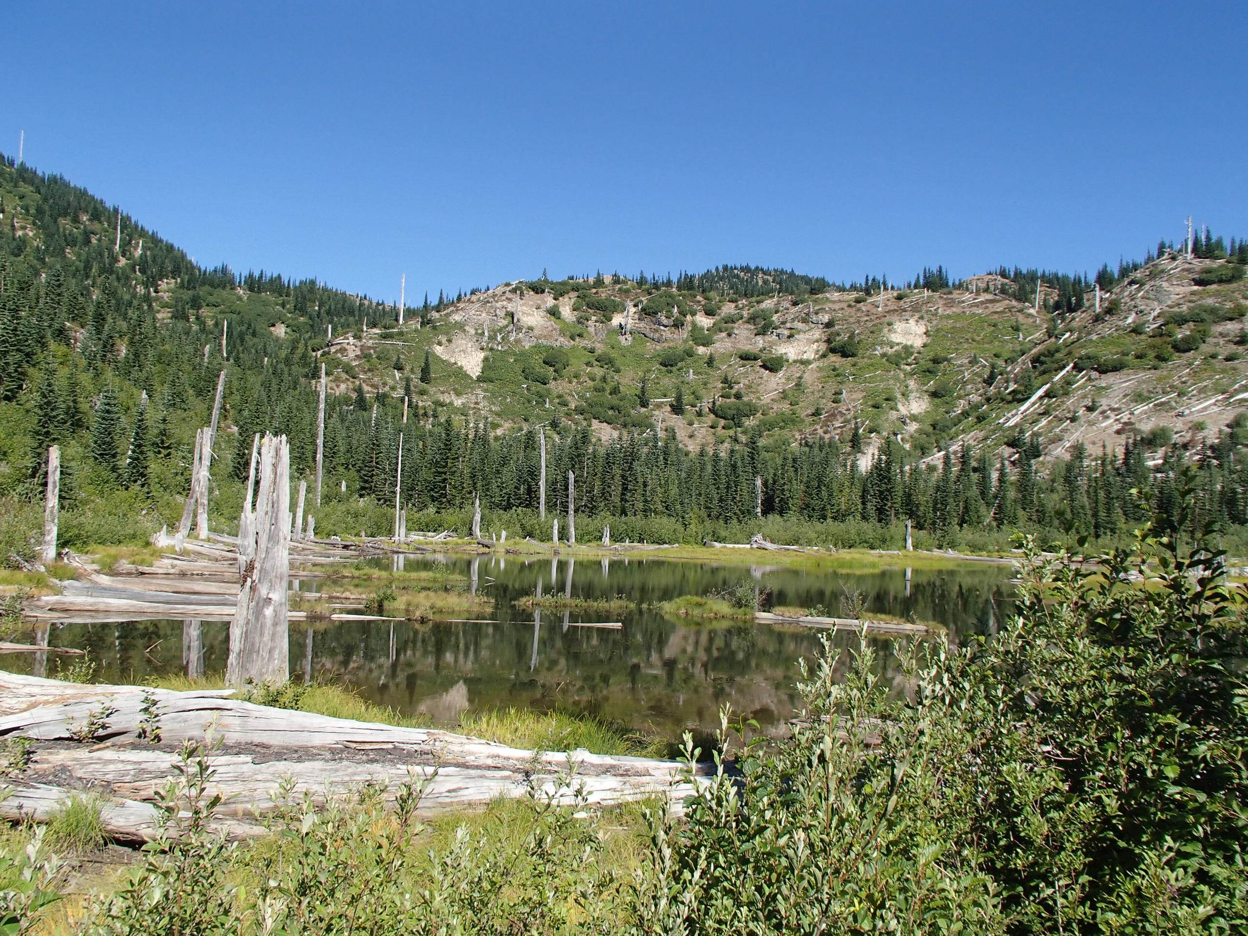 Meta Lake near Mount St. Helens.