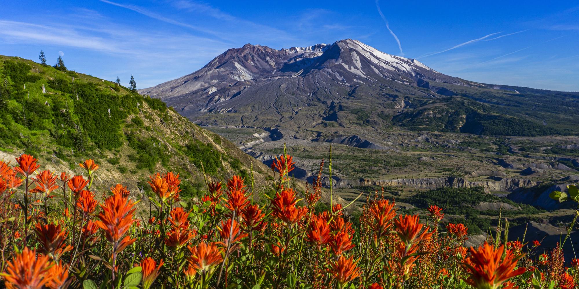 Mount St. Helens - Yvonne Baer