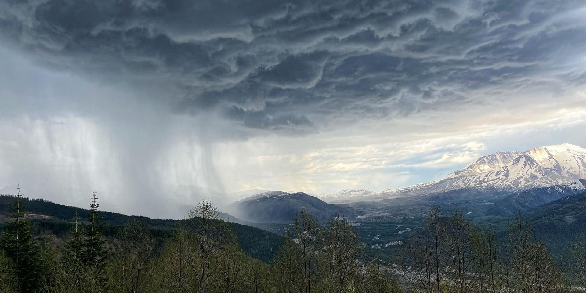 A dramatic view of Mount St. Helens under a moody sky, with dark storm clouds and a visible rain shaft pouring down over the forested hills to the left. The right side of the image shows the sunlit, snow-streaked slopes of the volcano, creating a striking contrast between storm and light. Trees in the foreground frame the scene.