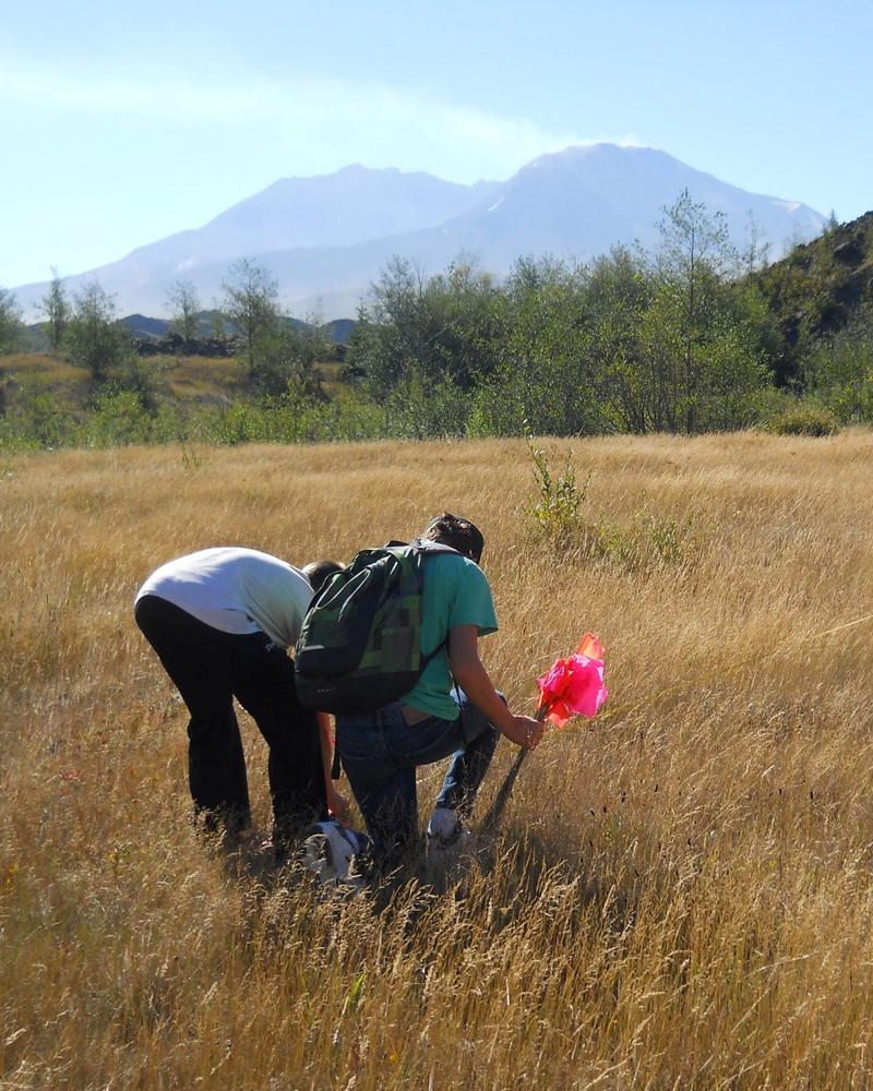 Students conducting research at Mount St. Helens
