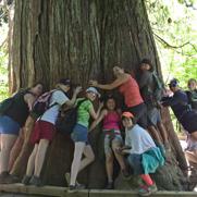 We love trees!