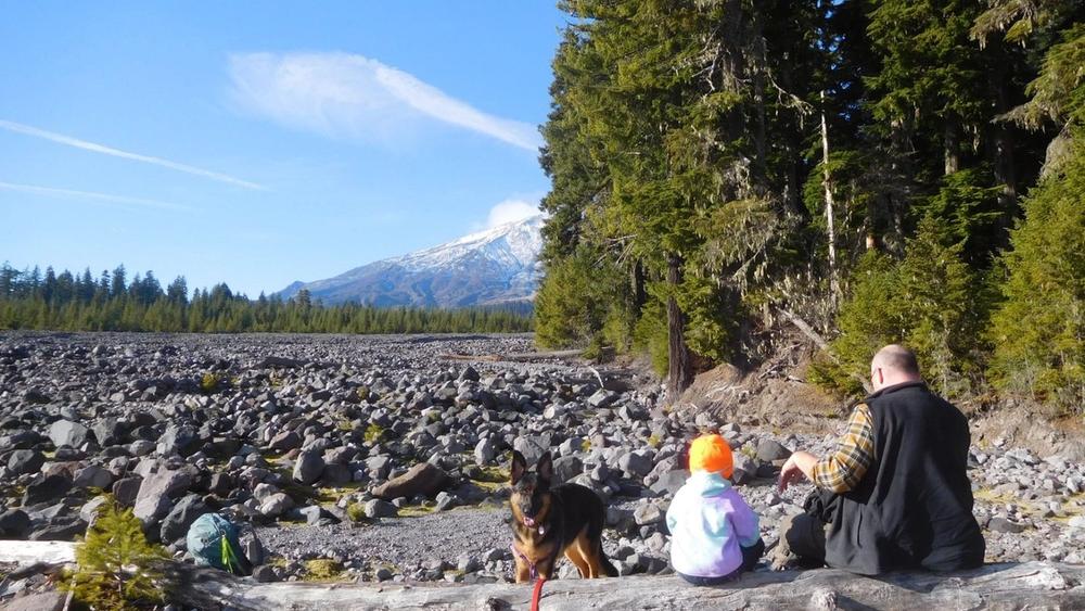An adult, child, and a dog sit on a log with a rock field and Mount St. Helens in the distance
