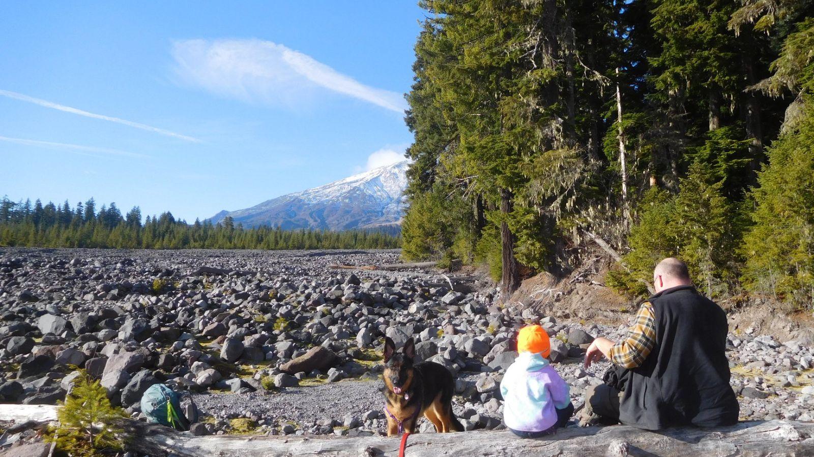 An adult, child, and a dog sit on a log with a rock field and Mount St. Helens in the distance