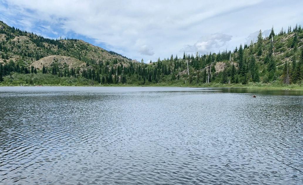 A beautiful lake with trees and landscape in the background