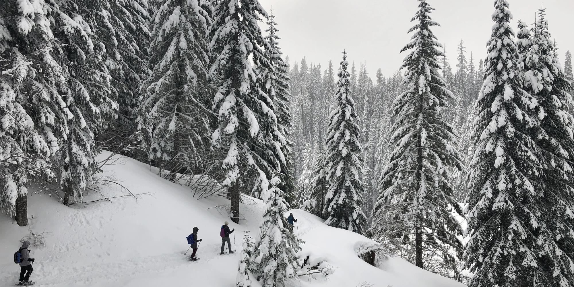MSHI program participants on a winter adventure at Mount St. Helens
