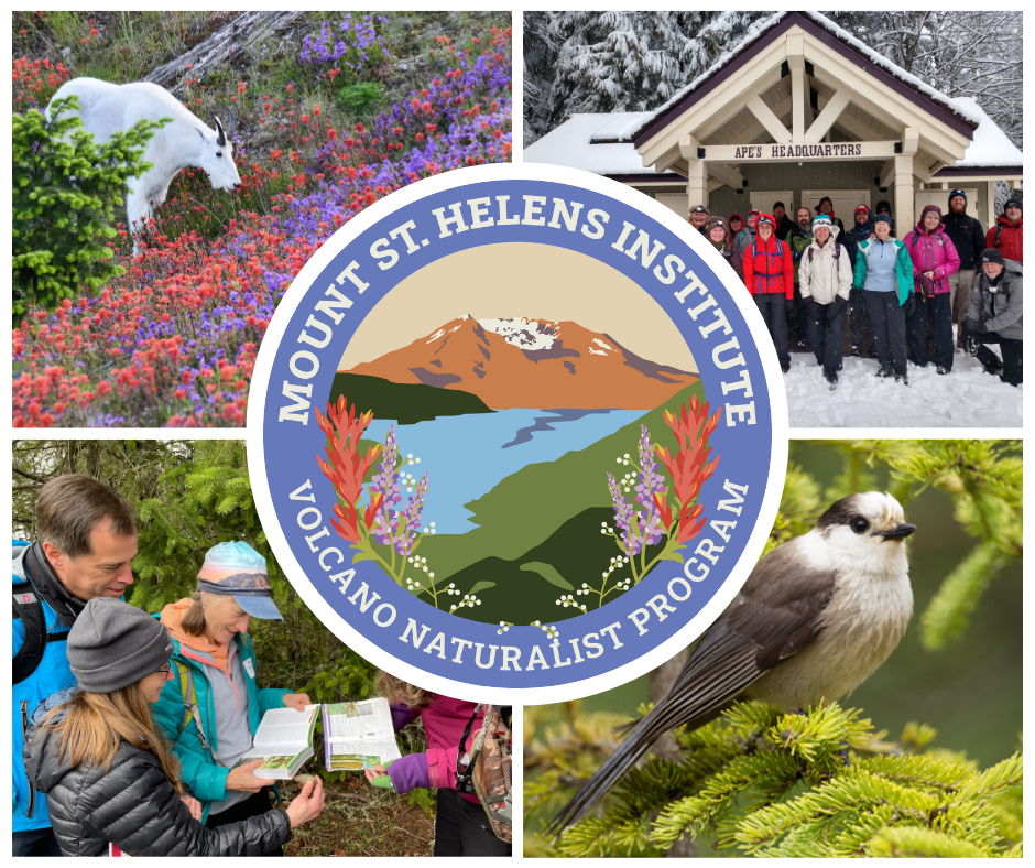 Collage of photos including a mountain goat, curious volcano naturalist students, a bird, and more adult learners.