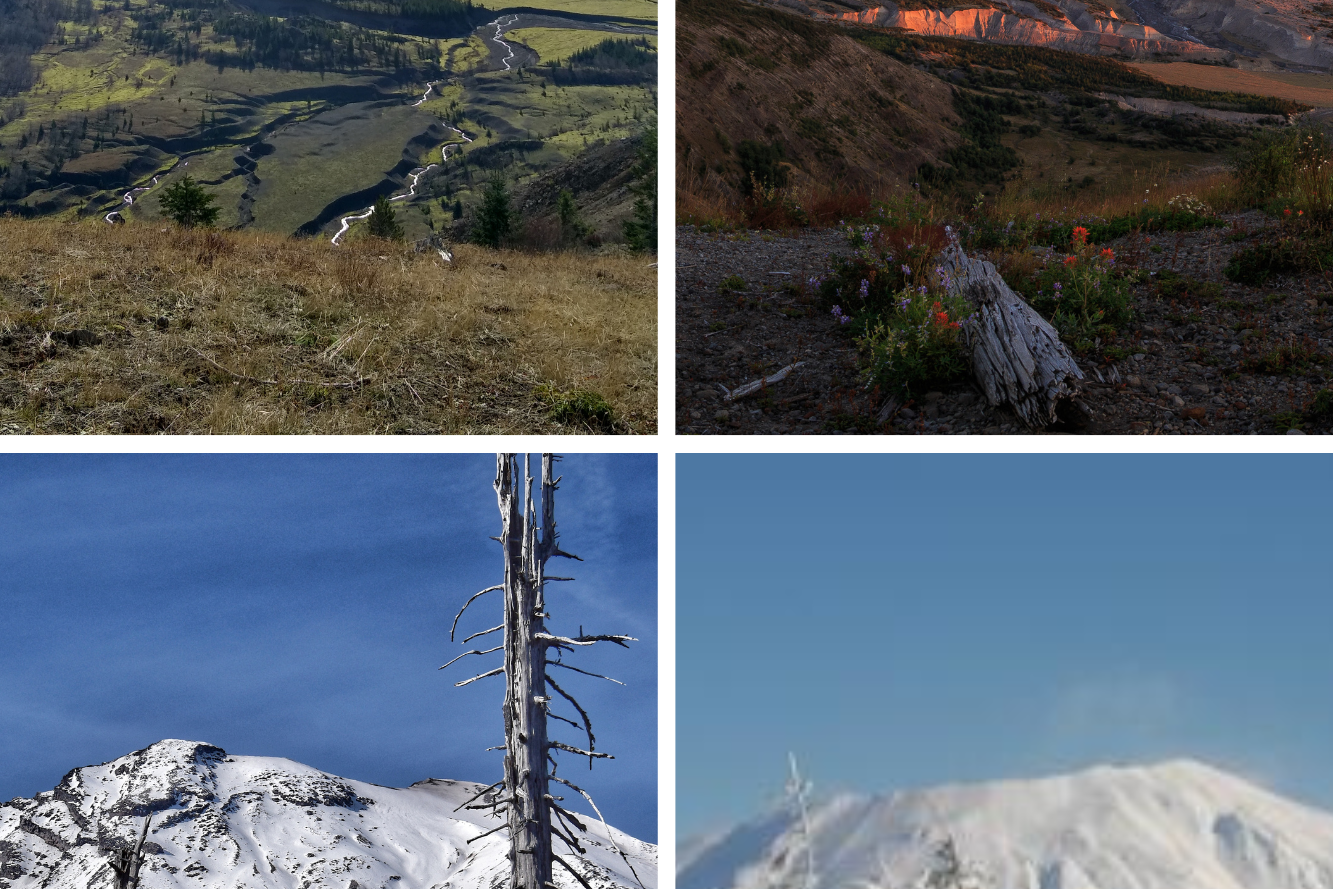collage of photos of Mount St. Helens in different seasons