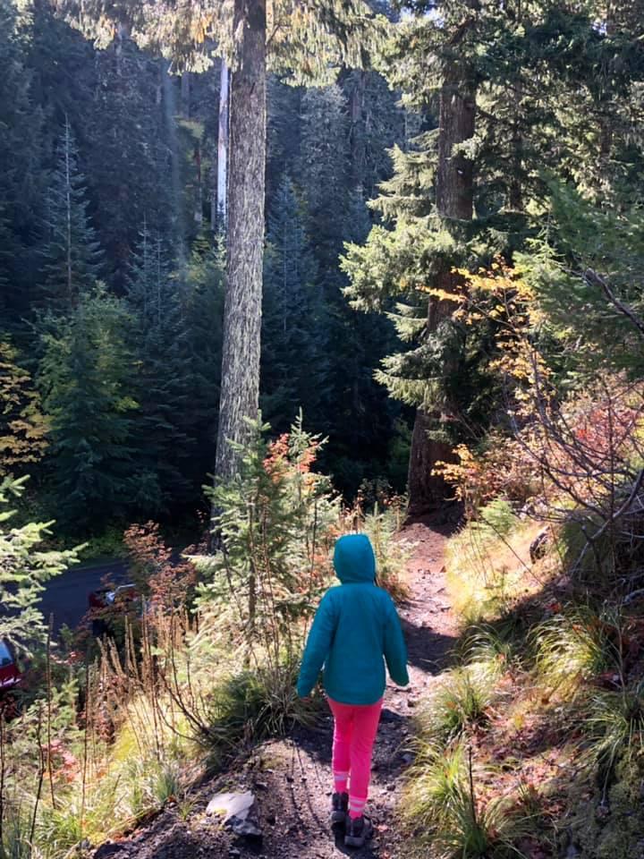 Fall hiking at Mount St. Helens