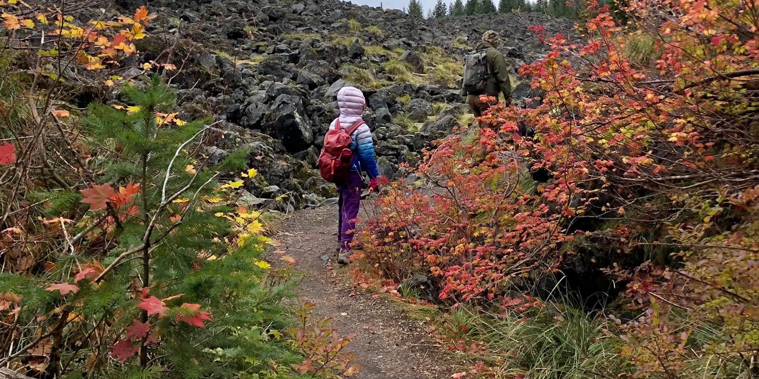 Fall colors on the trail at Mount St Helens
