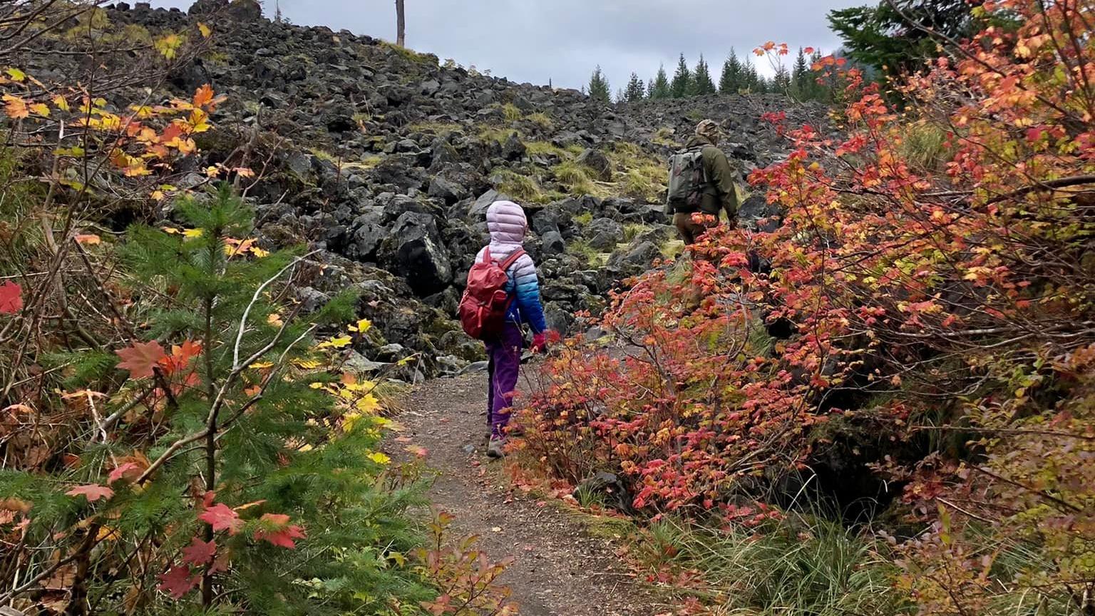 Fall colors on the trail at Mount St Helens