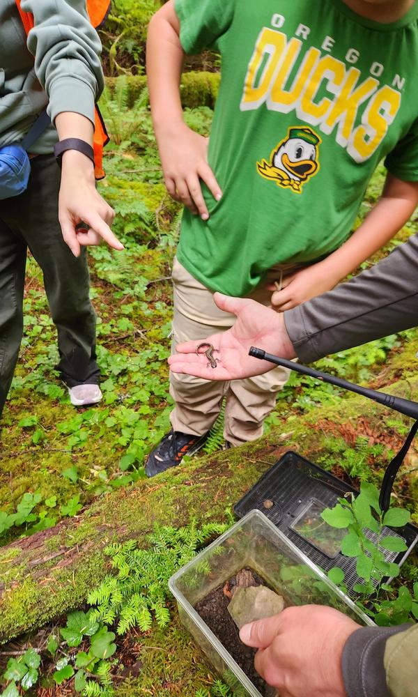 A salamander becomes evidence of moisture, cover, and habitat quality.