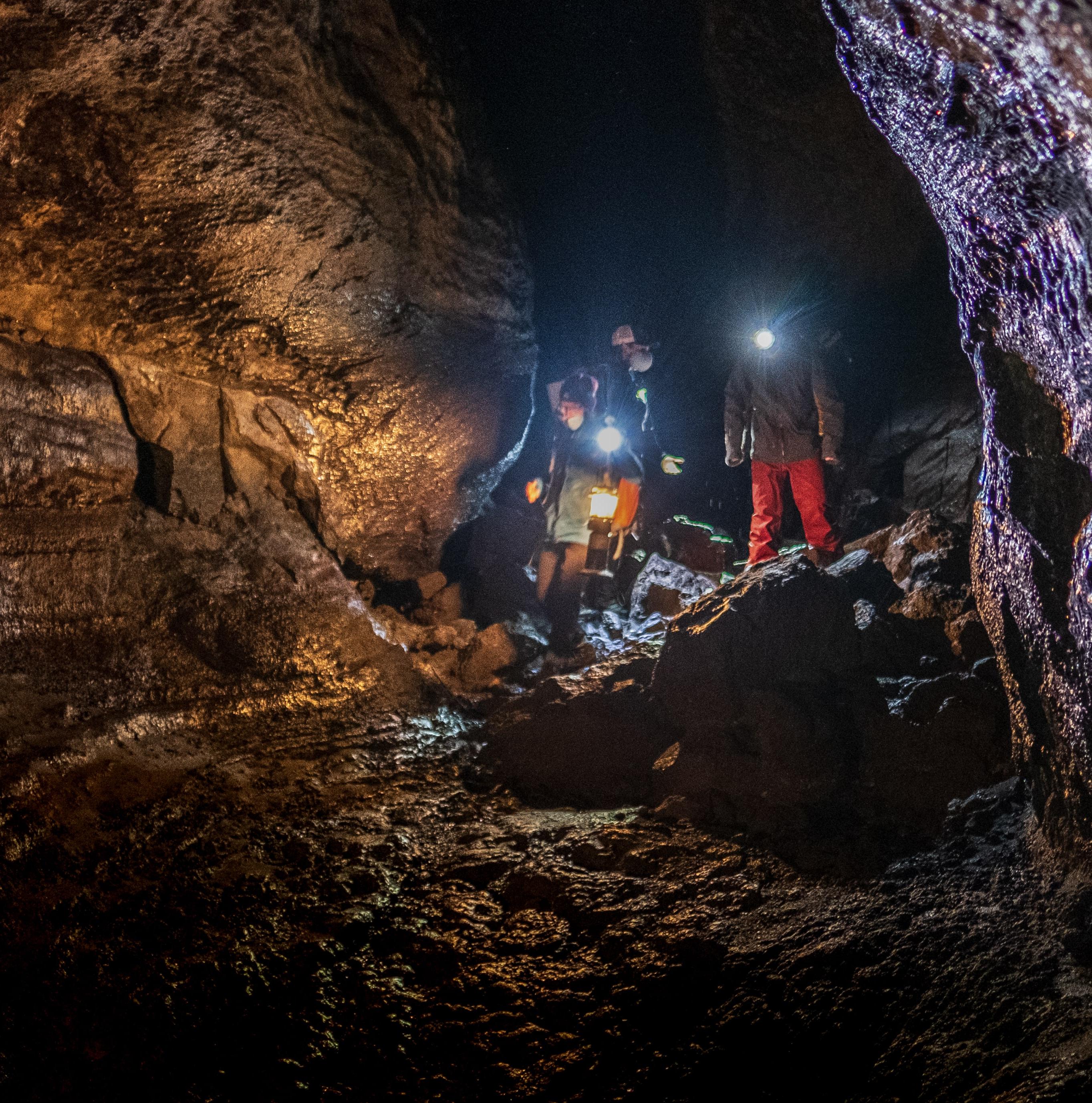 Photo credit: Elise Murphy