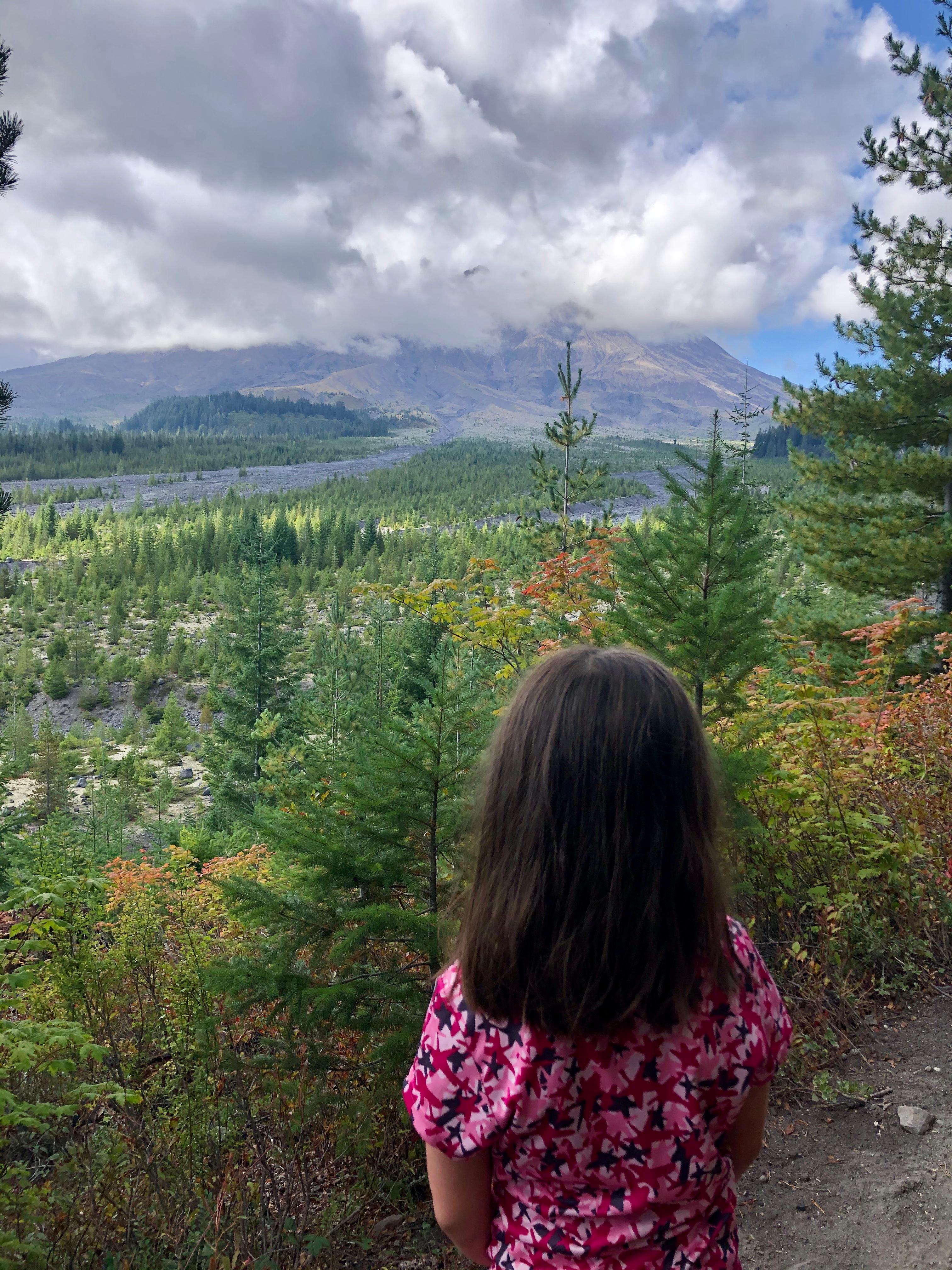 A child looks out over a cliff to a view of Mount St. Helens