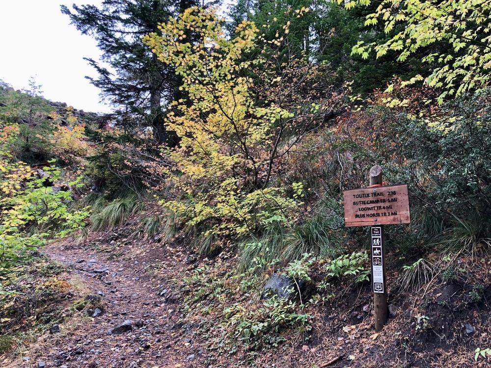 Toutle trailhead in fall