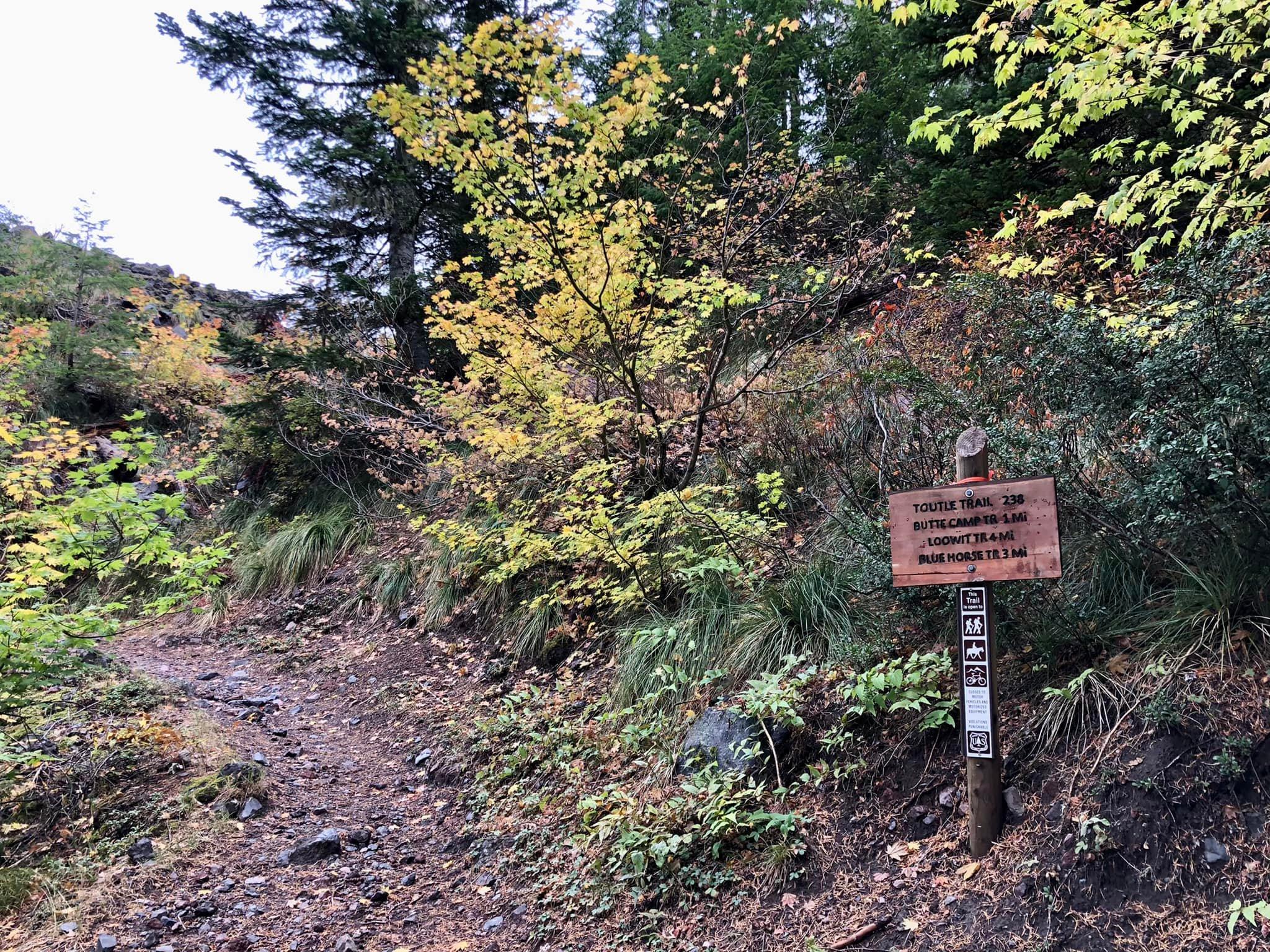 Toutle trailhead in fall