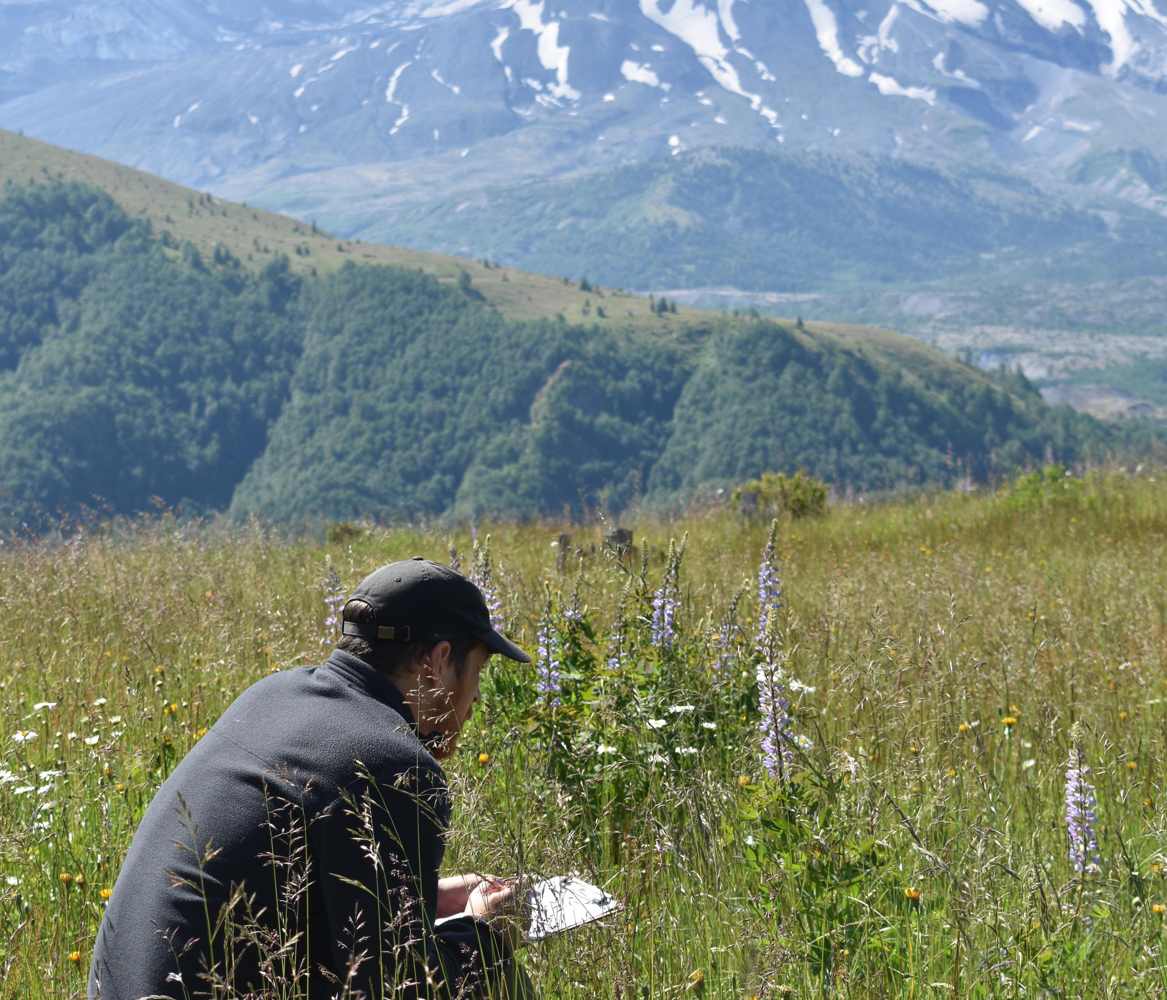 Adult journaling in the shadow of Mount St. Helens