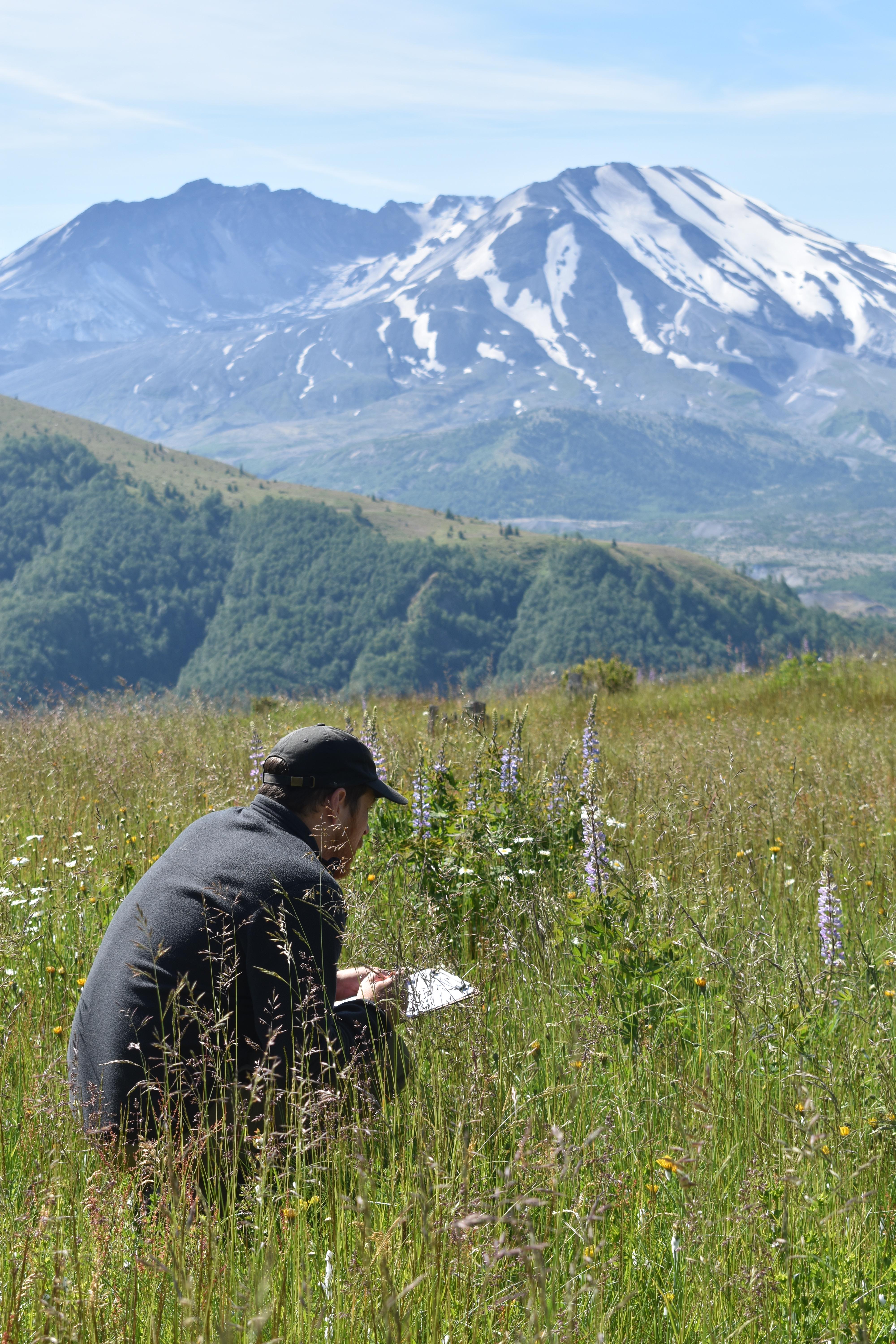 Person taking a moment to reflect and observe at Base Camp at Mount St. Helens