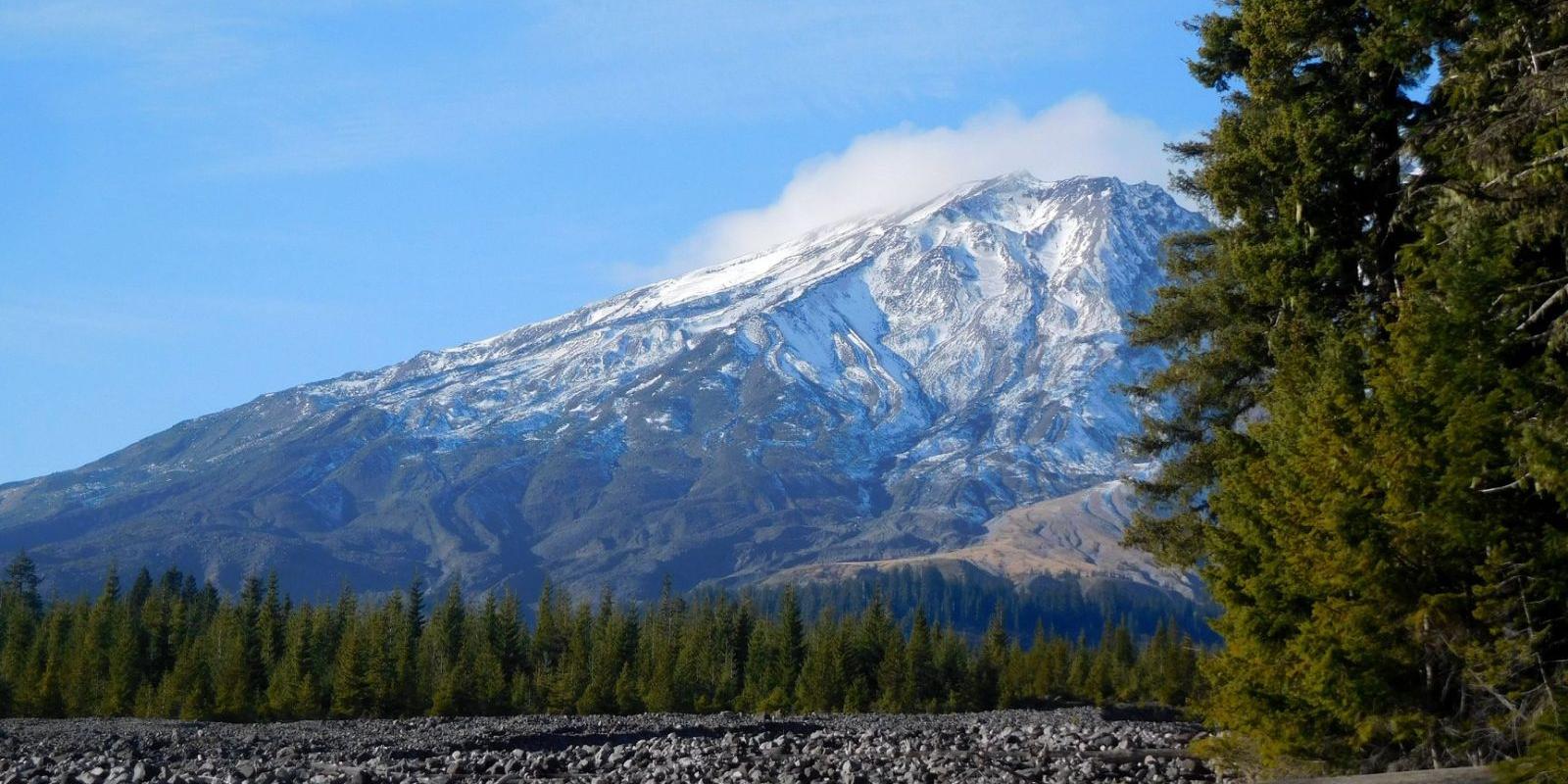 Mount St. Helens in the distance with a field of rock and trees in the foreground