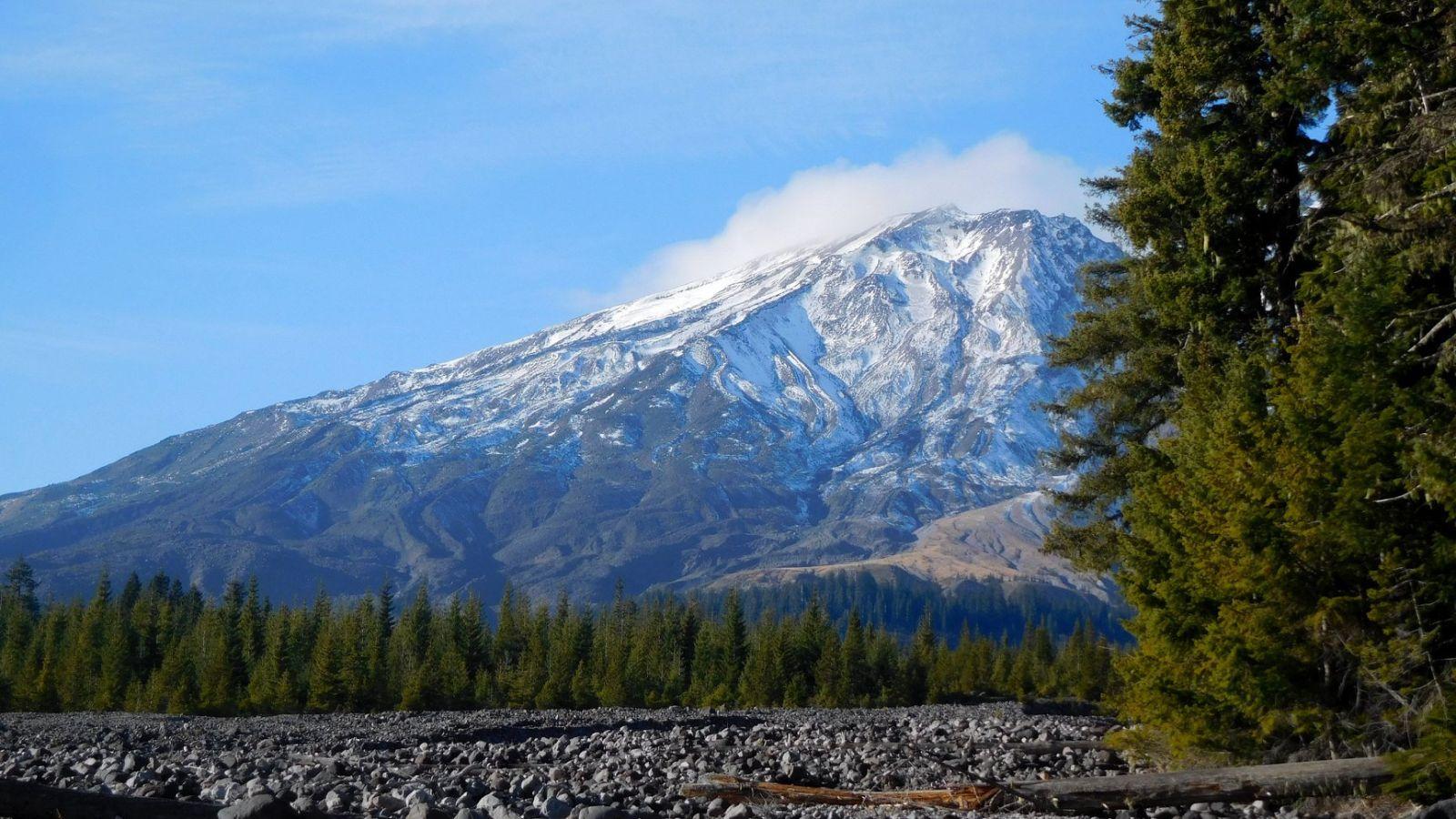 Mount St. Helens in the distance with a field of rock and trees in the foreground