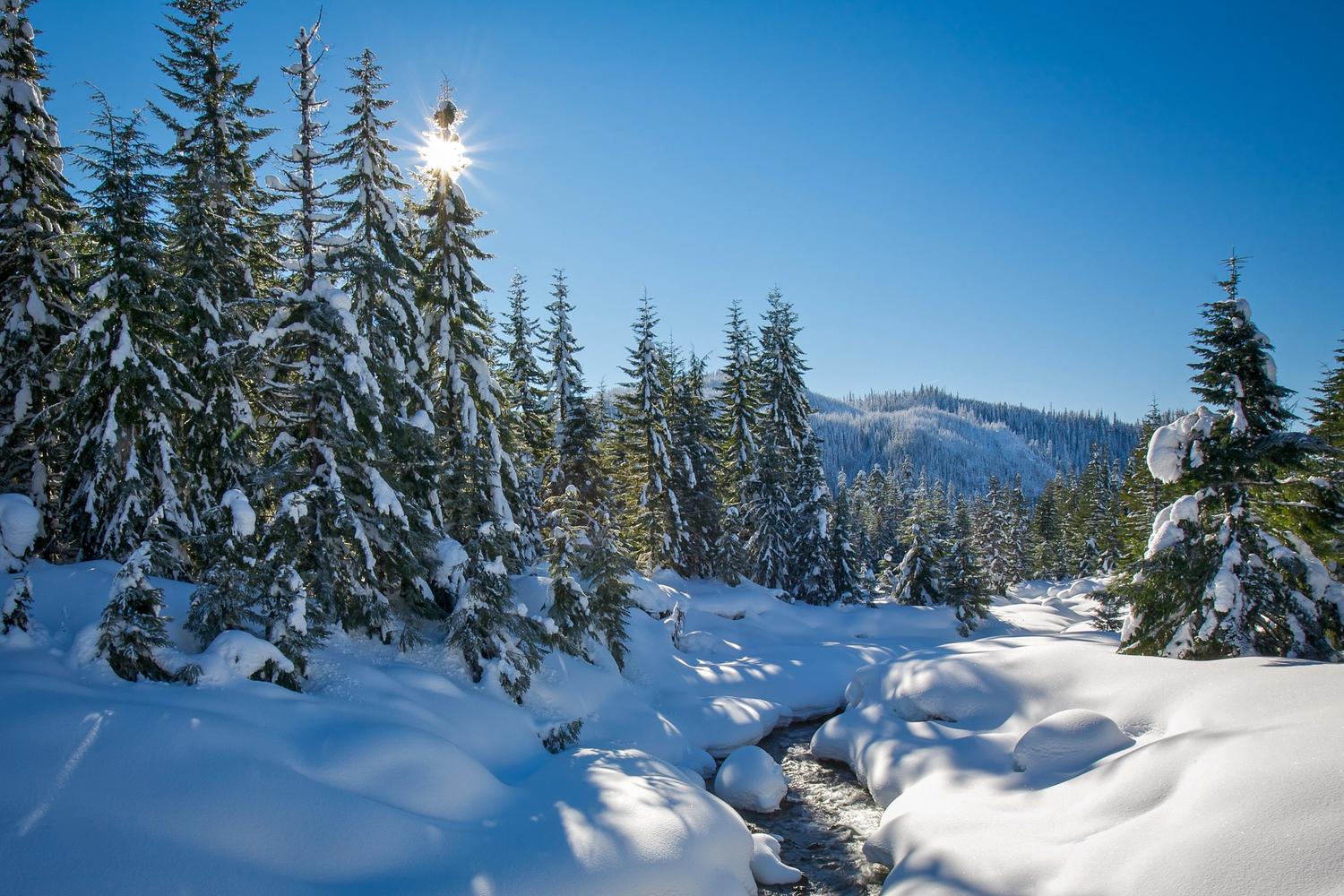 Mount St. Helens in early spring with a dusting of snow
