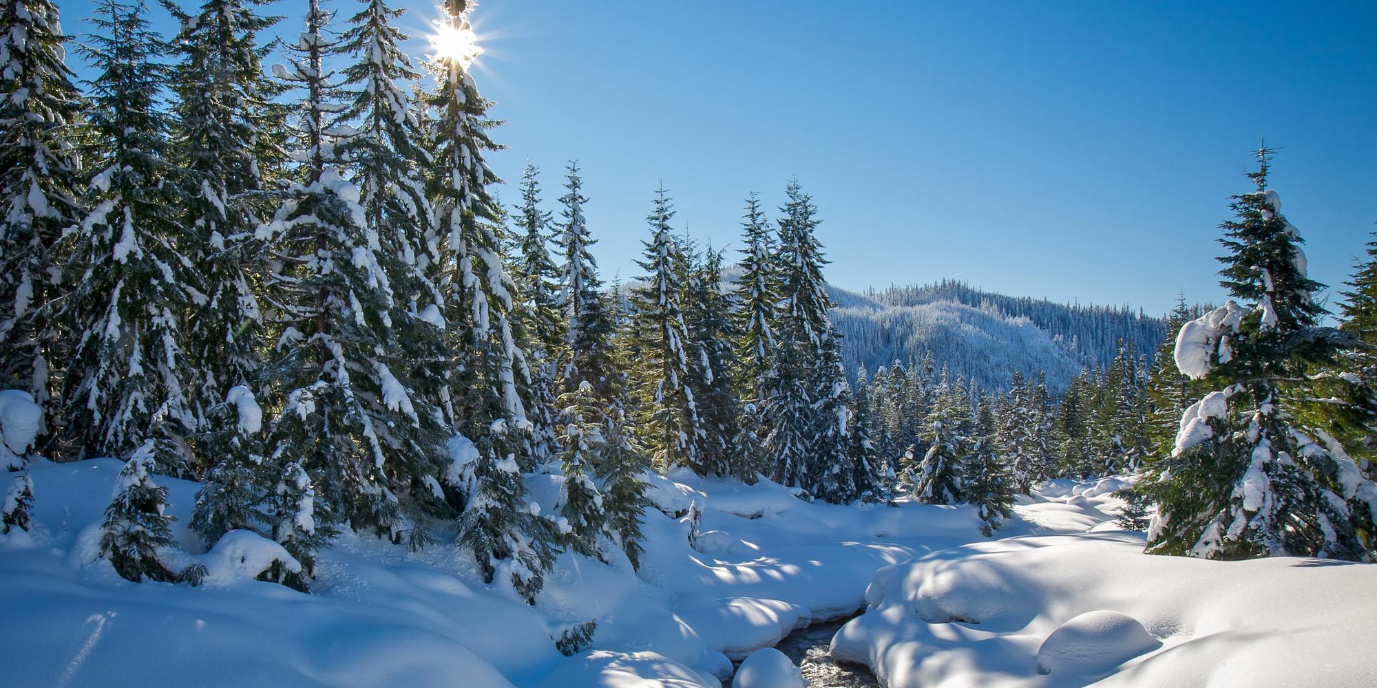 Mount St. Helens in early spring with a dusting of snow