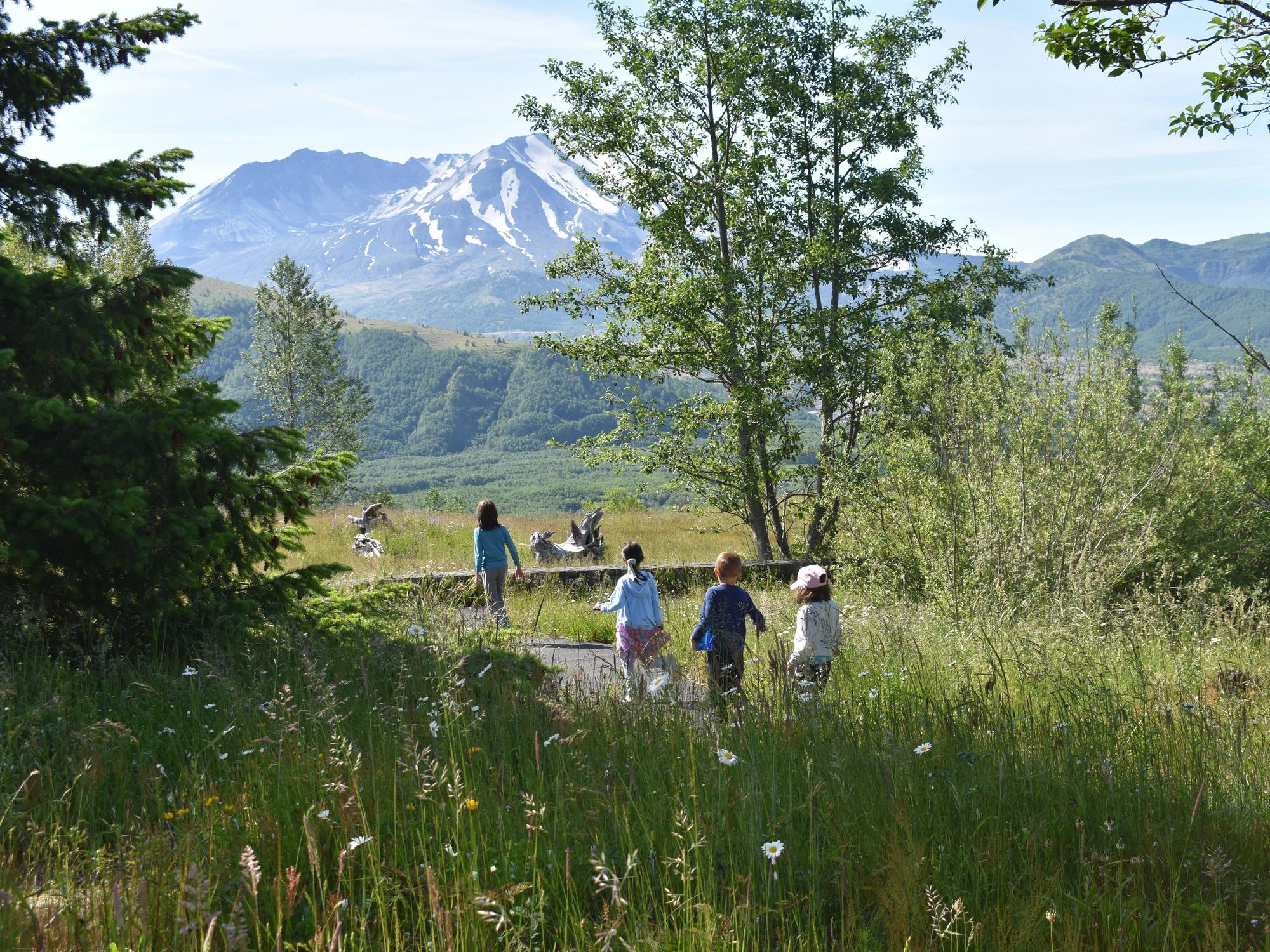 Families exploring Mount St. Helens during family adventure camp