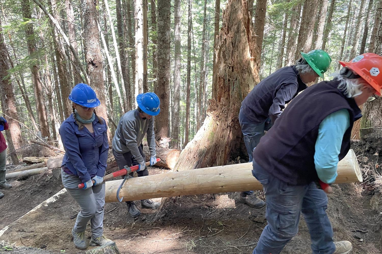 Mount St. Helens Institute volunteers working on trails at the volcano.