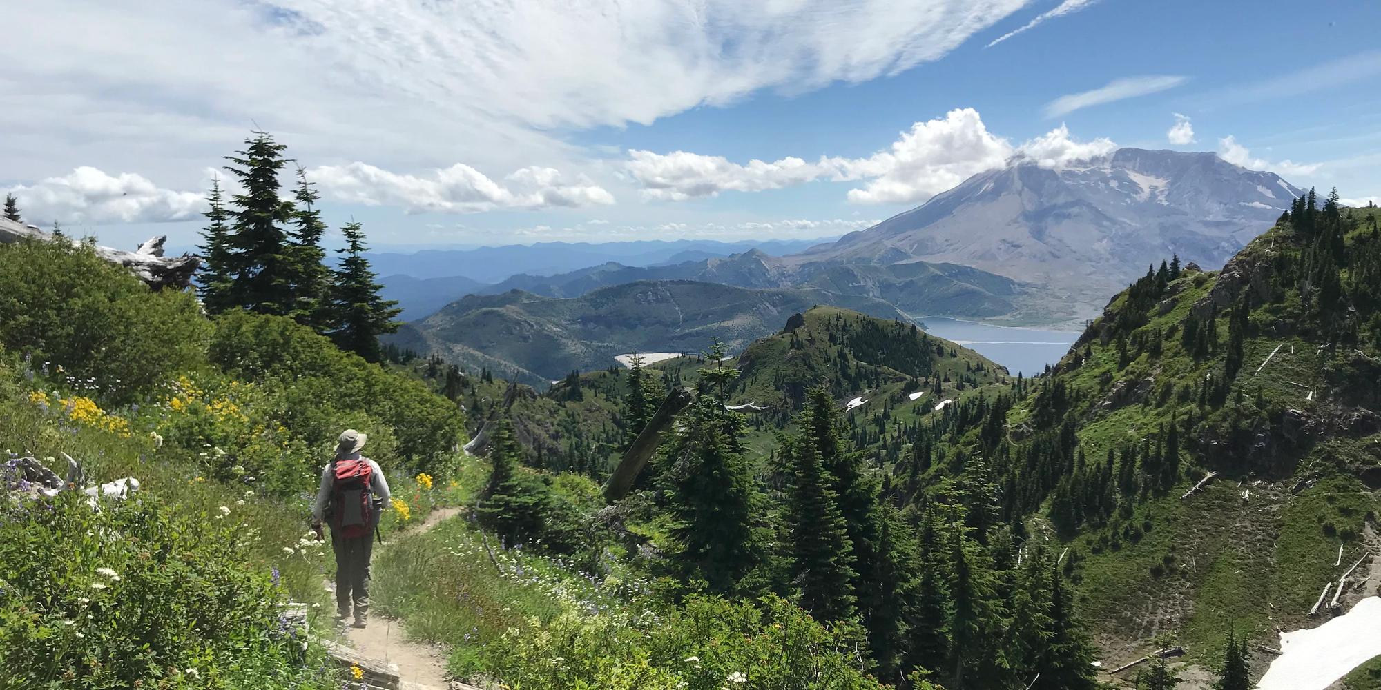 A hiker on a trail near Mount St. Helens, with the volcano in the background.