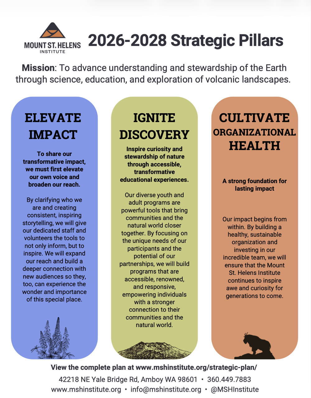 MSHI's strategic pillars