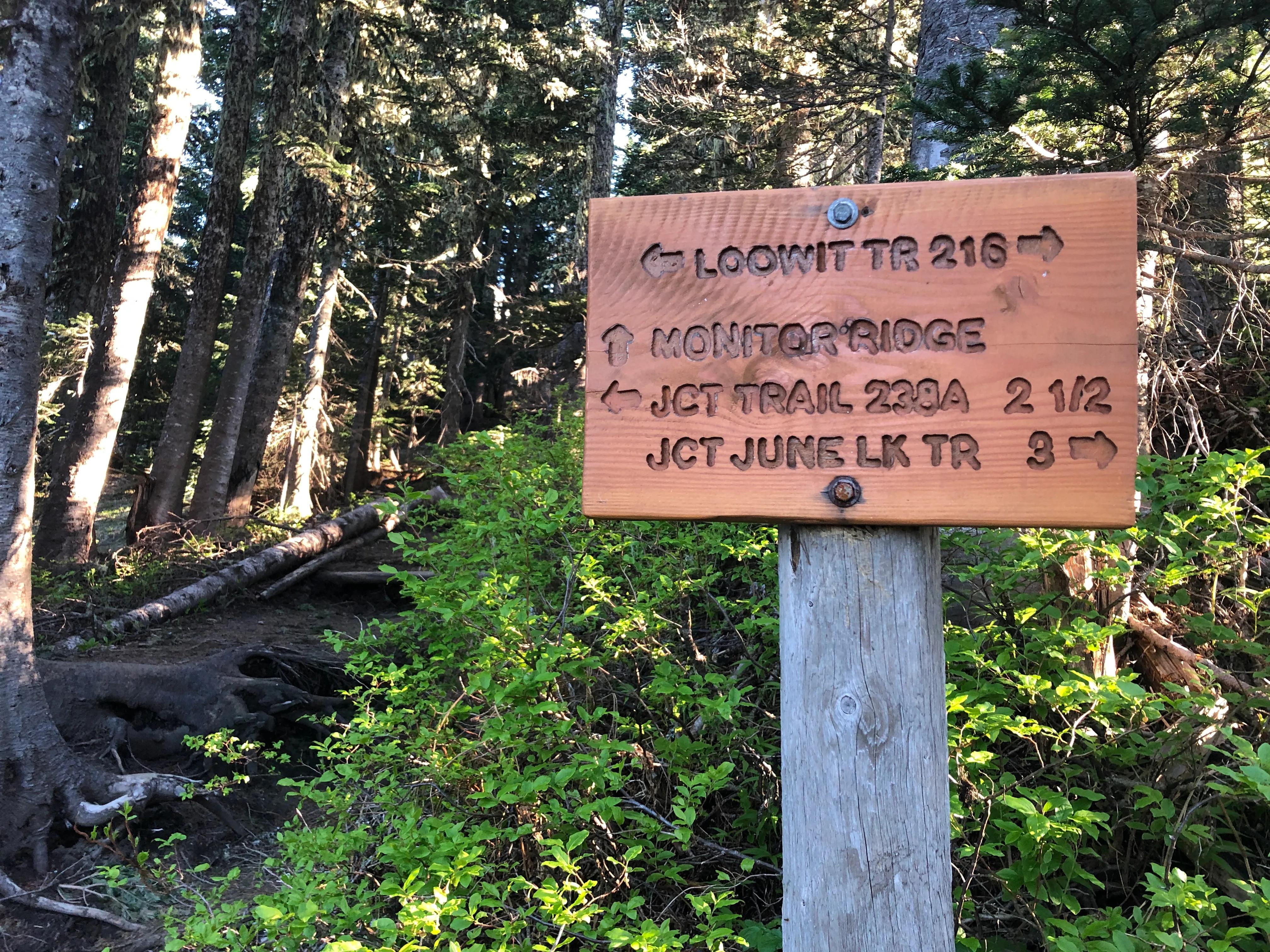Trail sign at junction of Ptarmigan trail (route to Monitor Ridge summit route) and Loowit Trail.