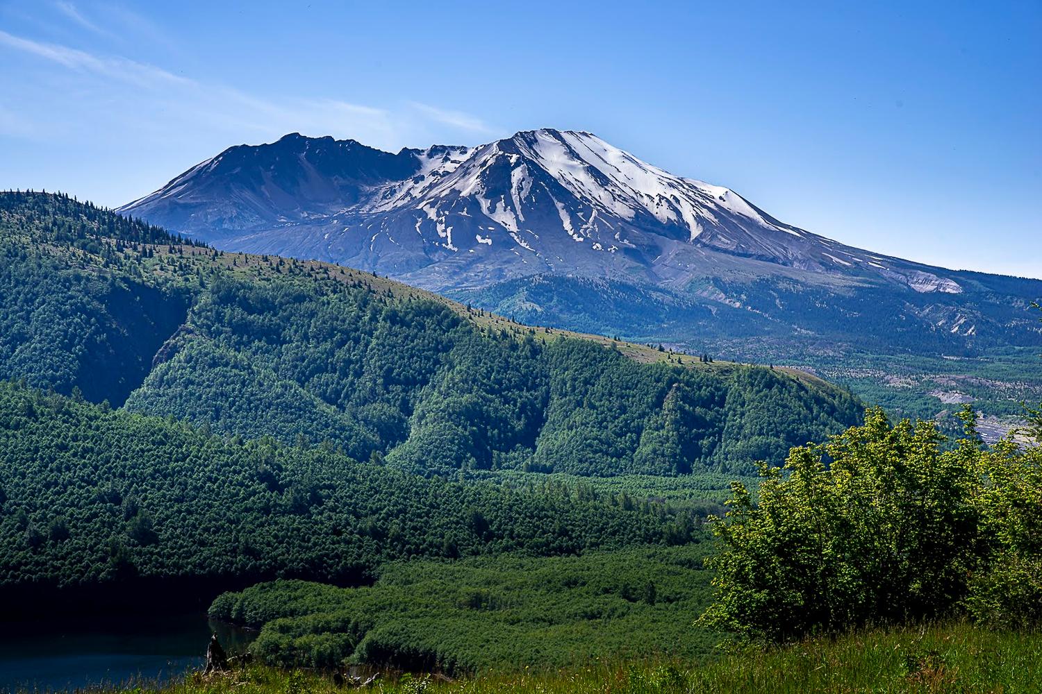 Mount St. Helens with a dusting of snow; verdant Johnston Ridge in the foreground.