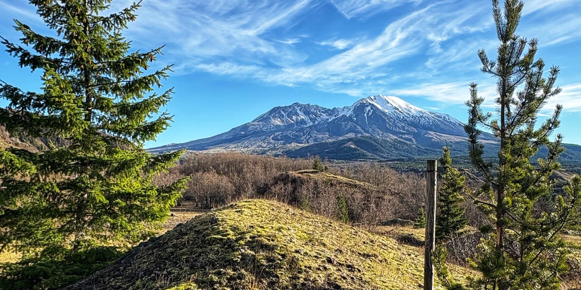 View of Mount St. Helens from the Hummocks trail
