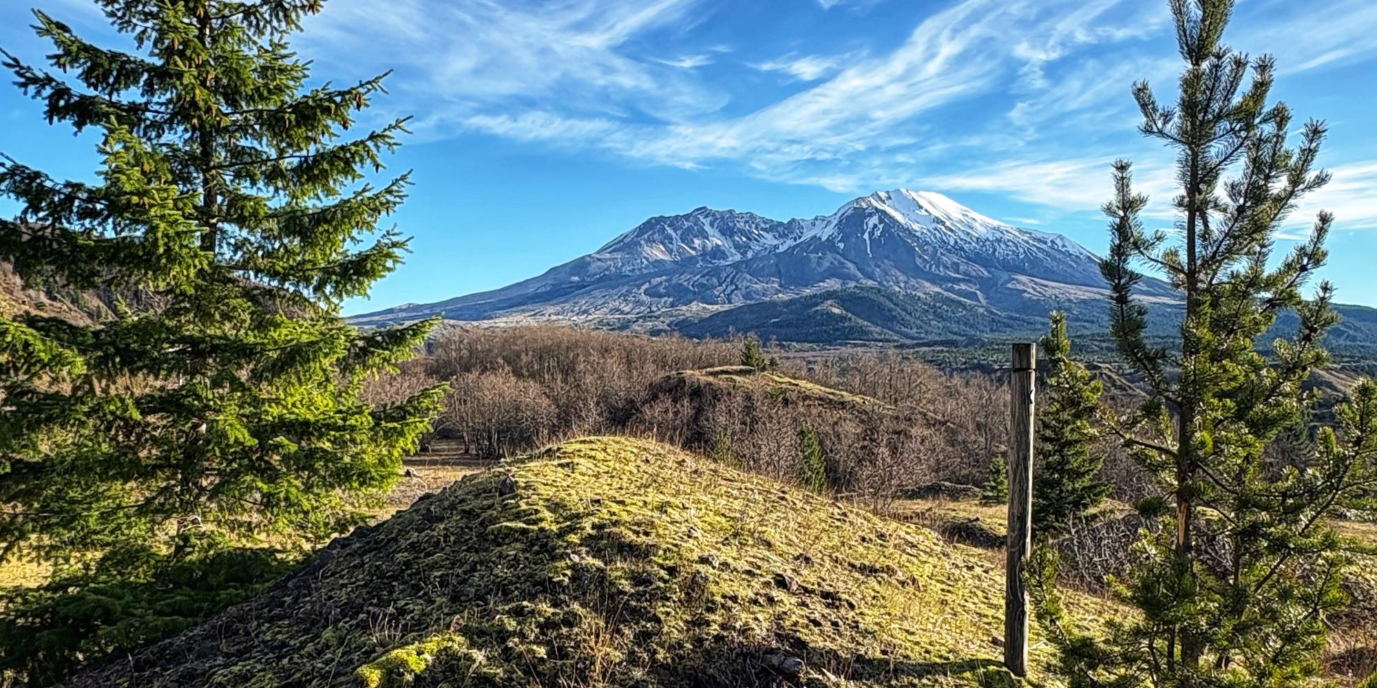 View of Mount St. Helens from the Hummock trail