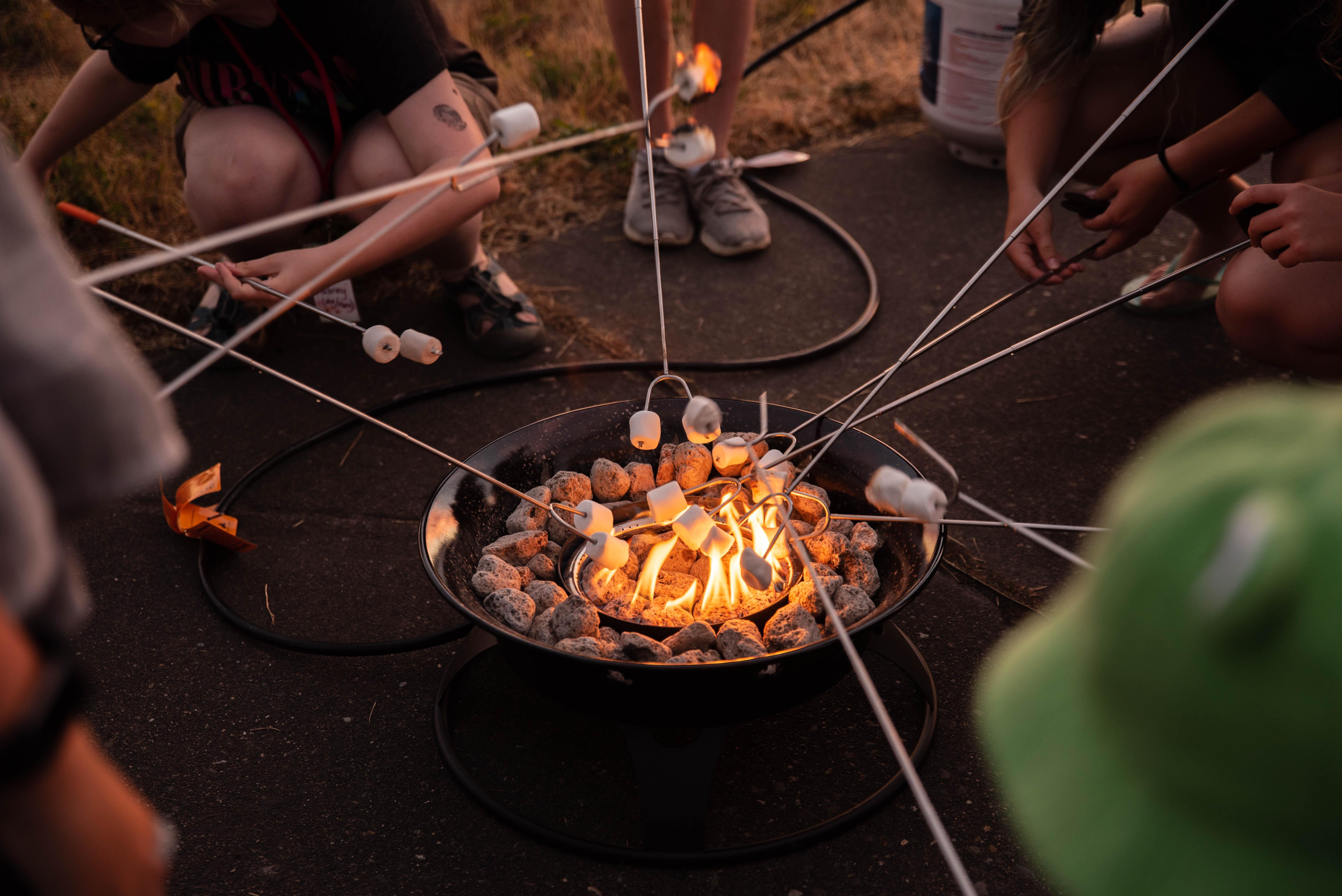 Happy campers at Mount St. Helens roasting marshmallows over a campfire
