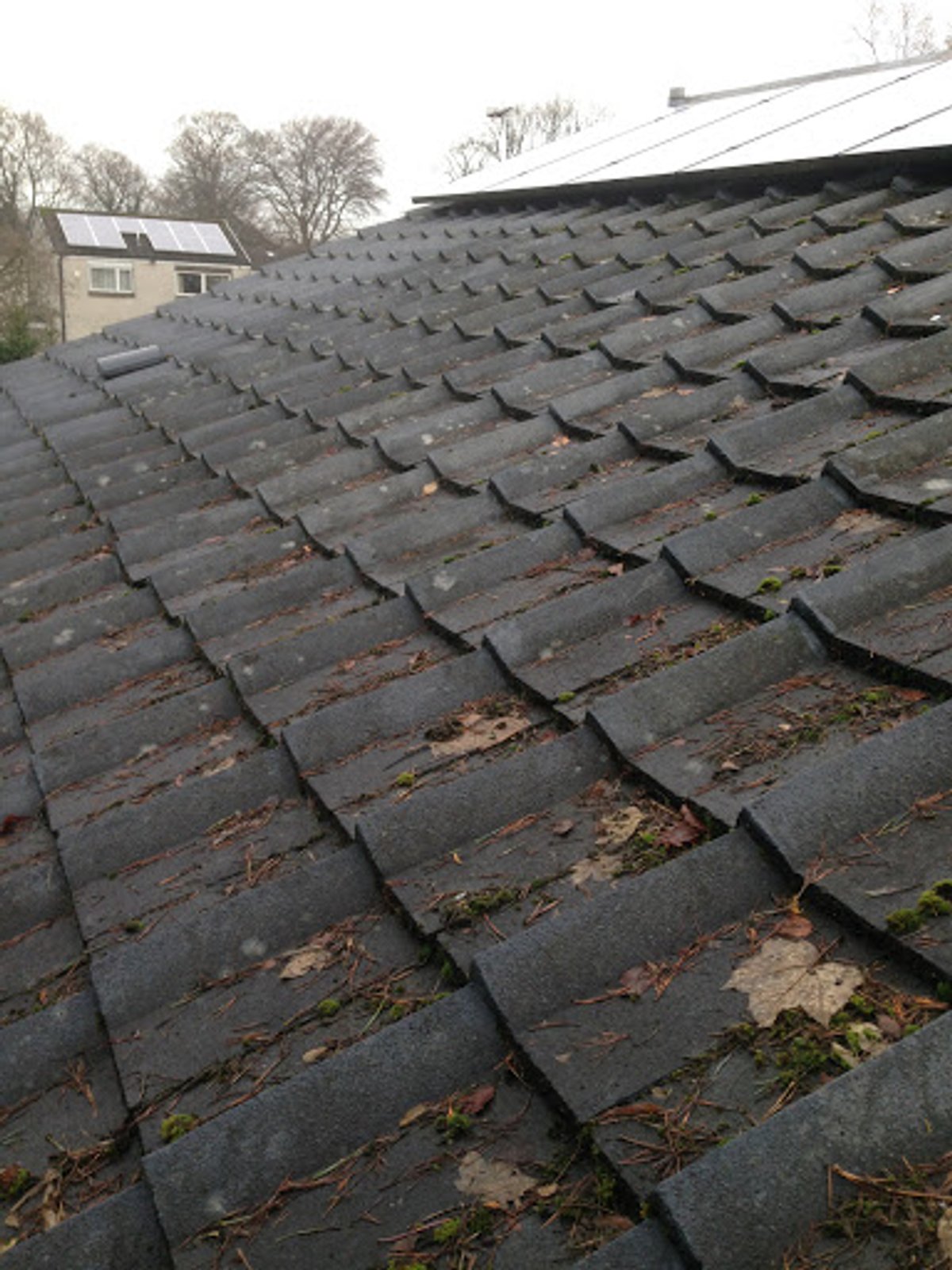 Roof before