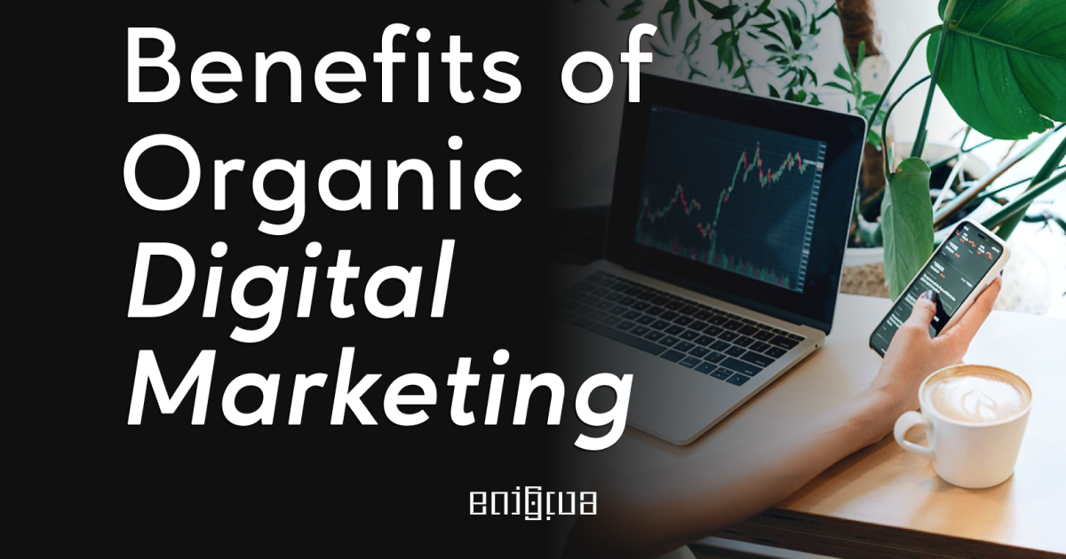 Organic Digital Marketing: The Game Changer Your Business Needs