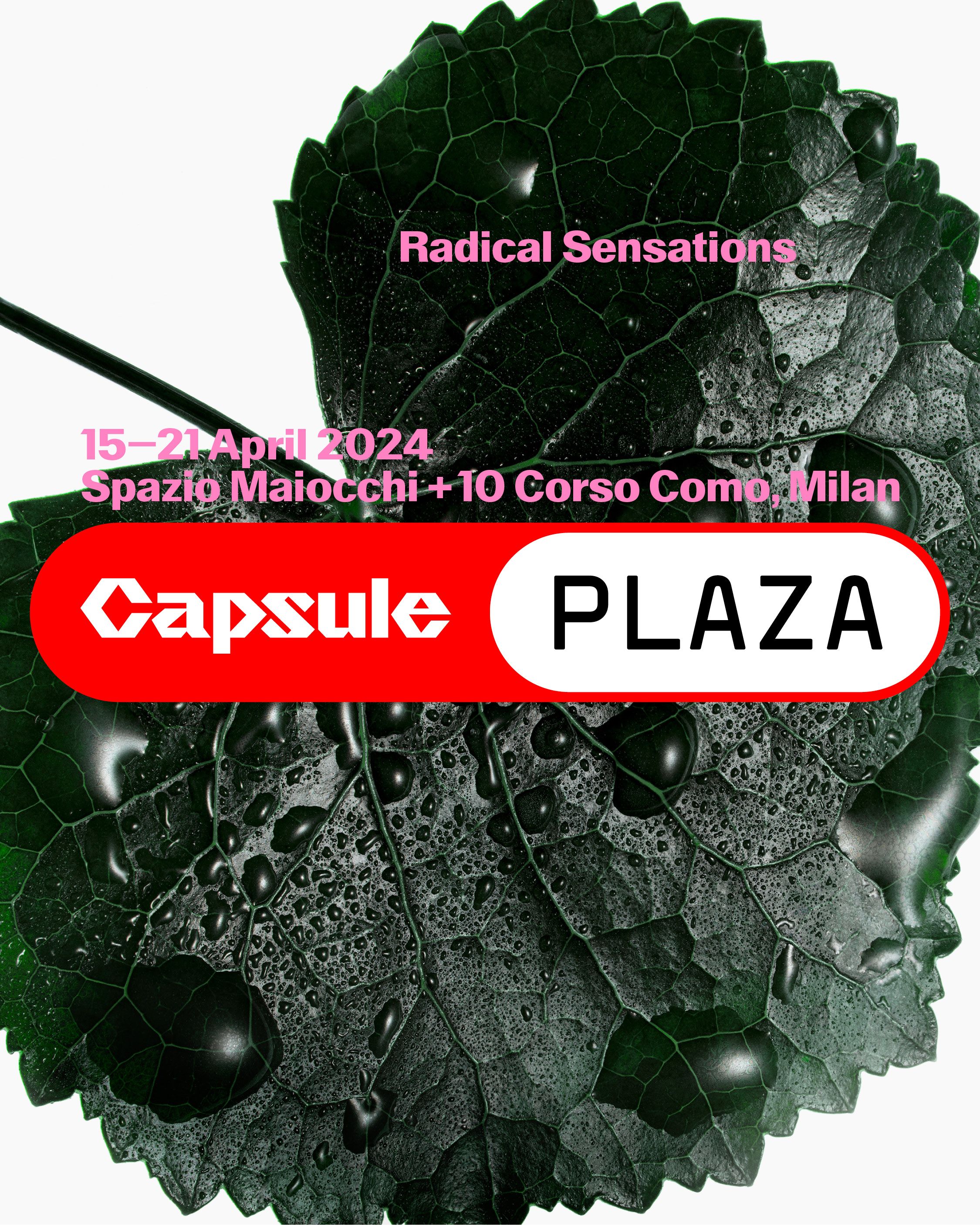 Plaza 2024 Capsule