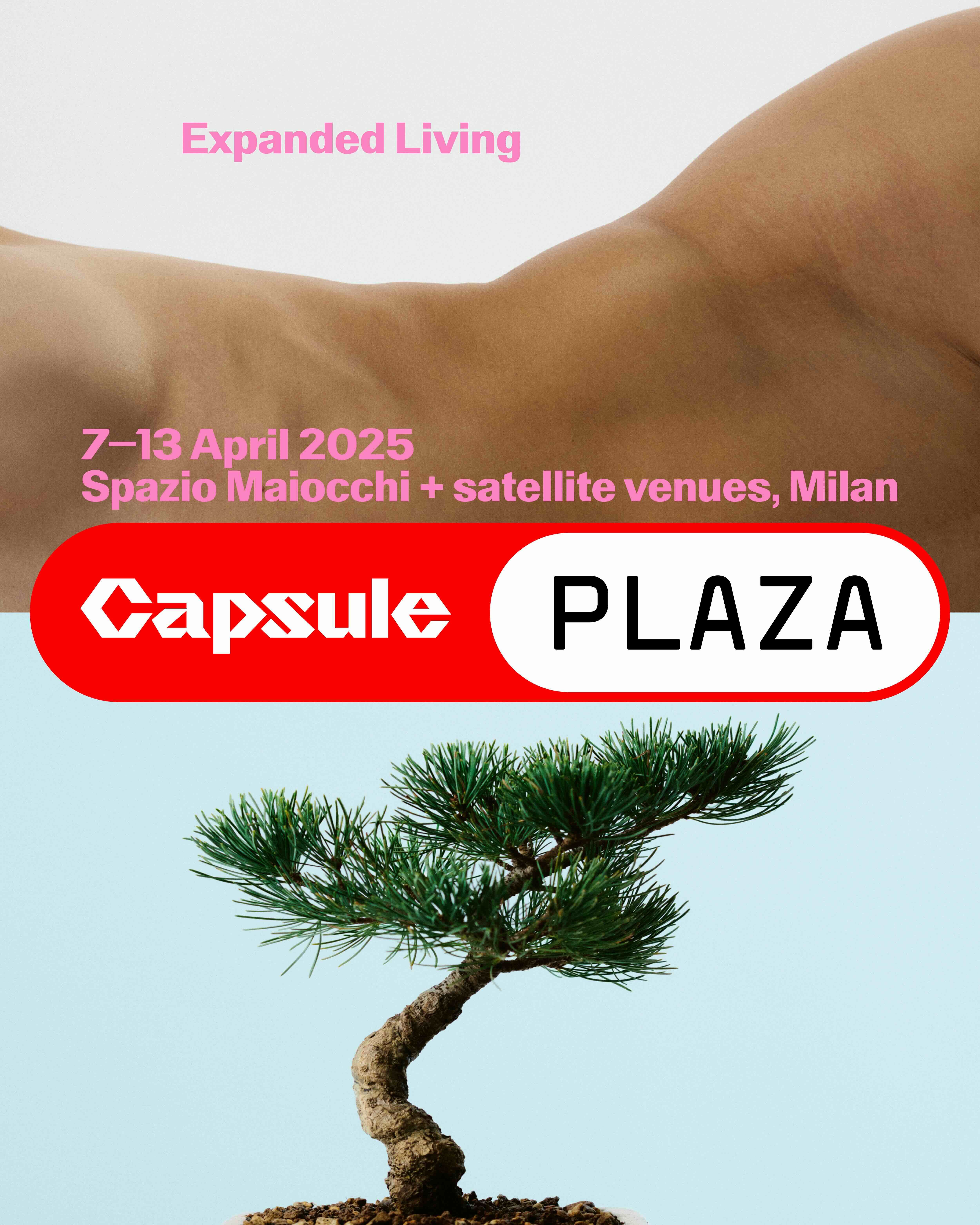 Plaza 2025 — Capsule