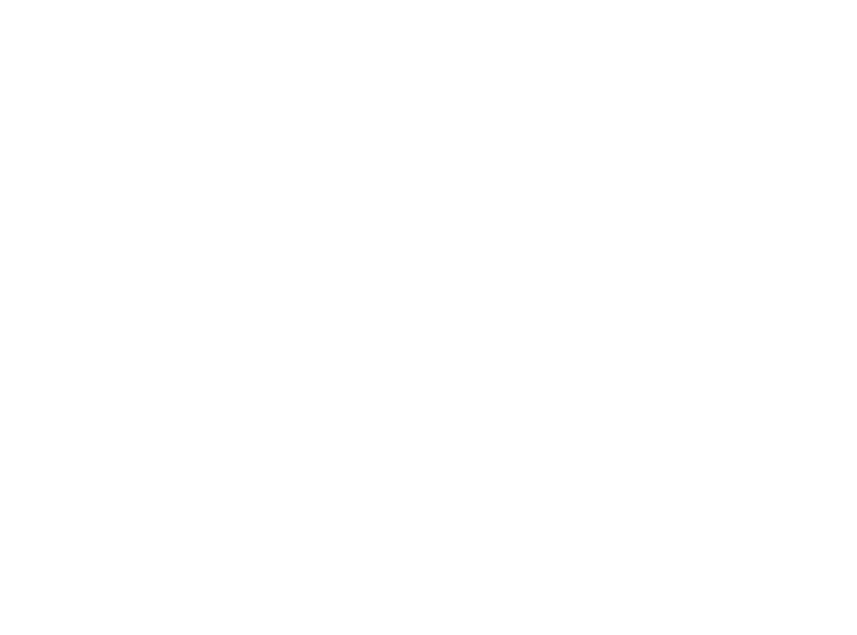 OTTO MAGNUSSON